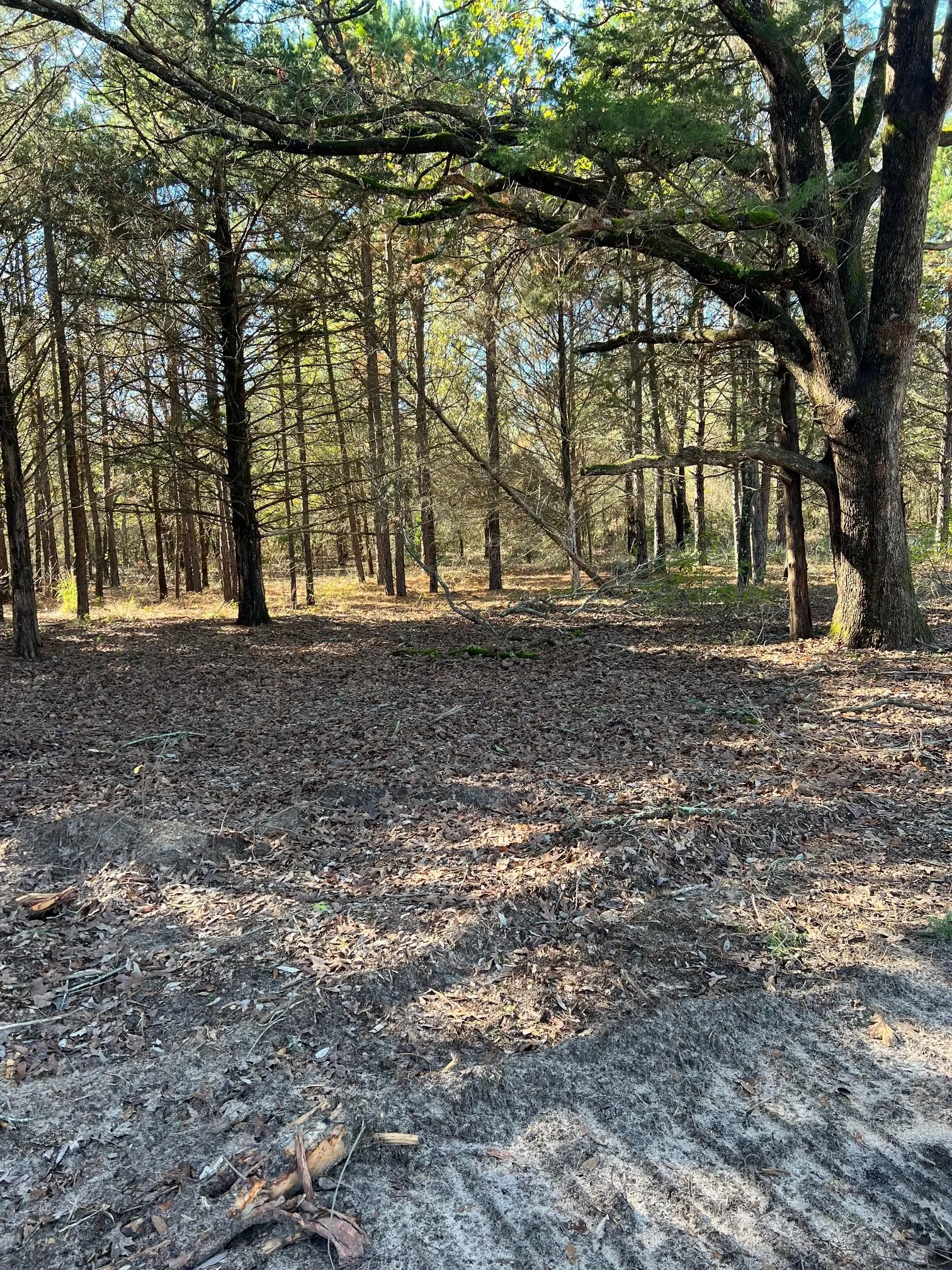 Unimproved Land For Sale in Smith County , 19417 Fm 1804, Lindale, Texas 75771, 0, 0, Garage spaces, 0 Sqft, built in 0, Price $120,000, mls#21281908, Real Estate Agent in Lindale, Homes For Sale in Smith county, Homes For Sale in Lindale, Realtor in Lindale Texas, Real Estate Brokerage Independent Realty Texas, Luminita Cordes Realtor