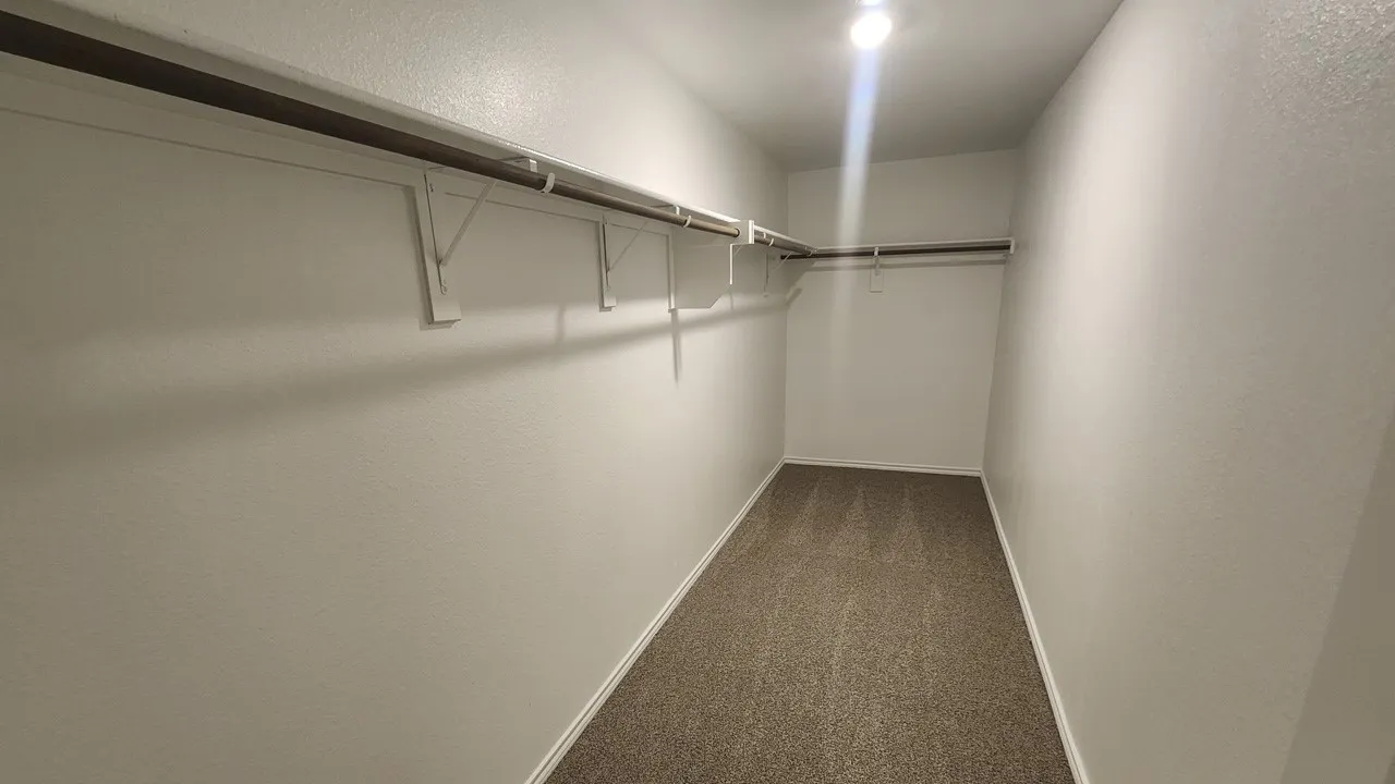 Walk-in closet featuring light-colored walls, carpet flooring, and a built-in shelf and hanging rod system