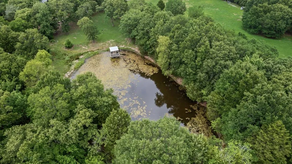 ariel pond view