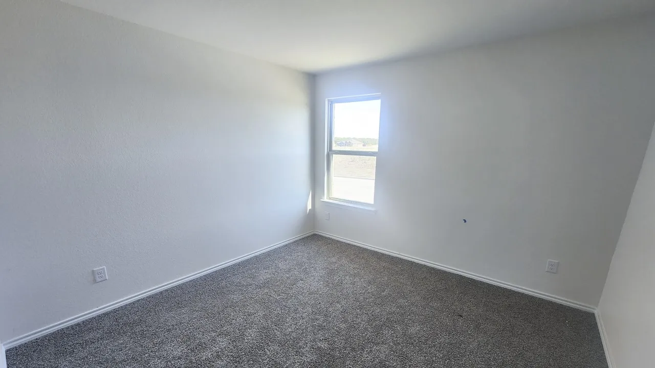 Neutral wall paint with textured finish, light grey carpeting, white baseboards, and a single window providing natural illumination