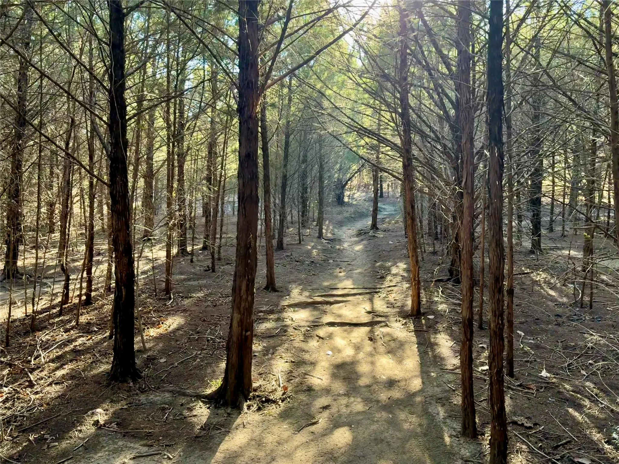 Squabble Creek hiking and biking trail system are accessible directly from within the neighborhood