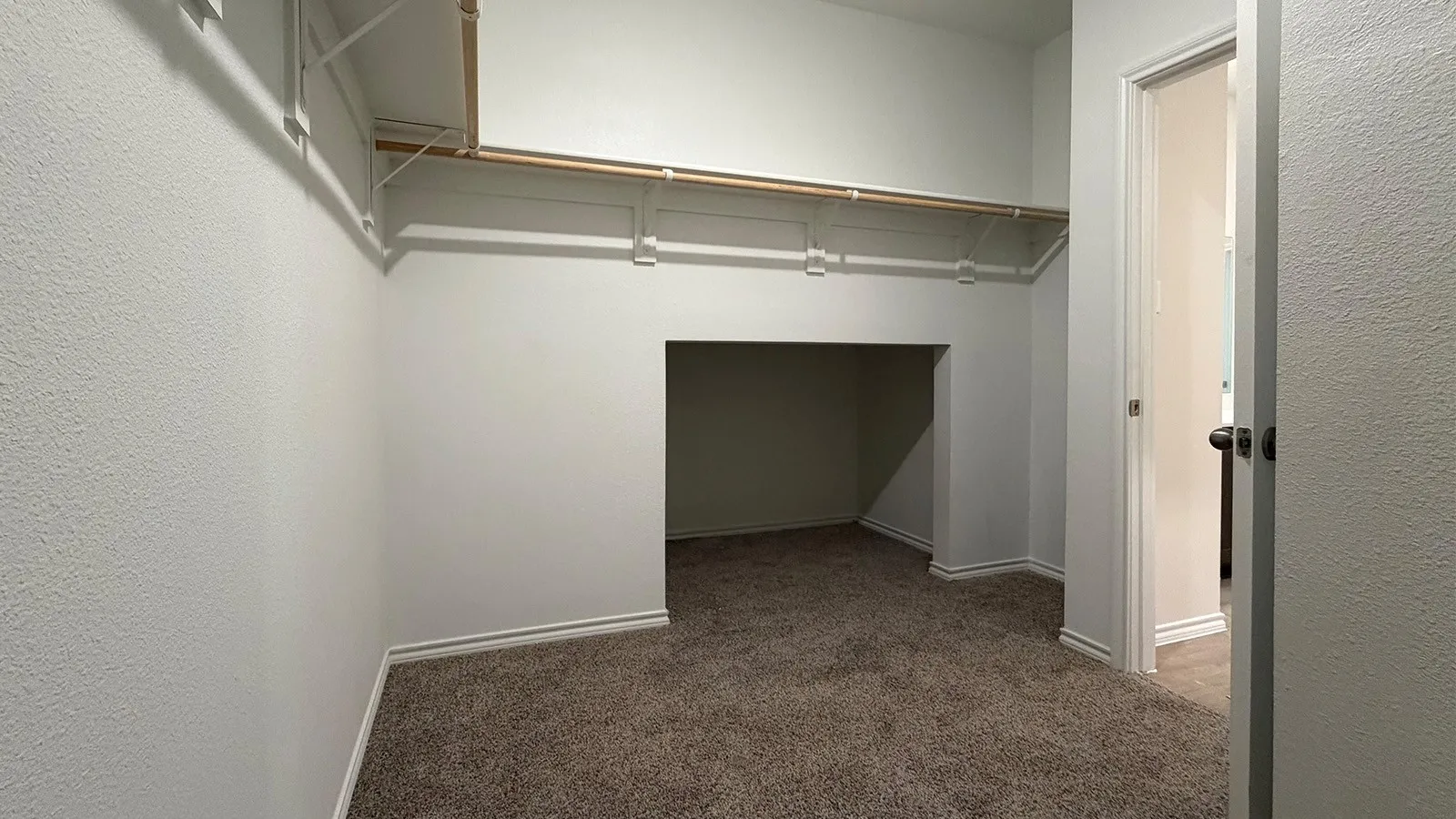 Spacious walk-in closet featuring built-in shelving, hanging rods, and a carpeted floor