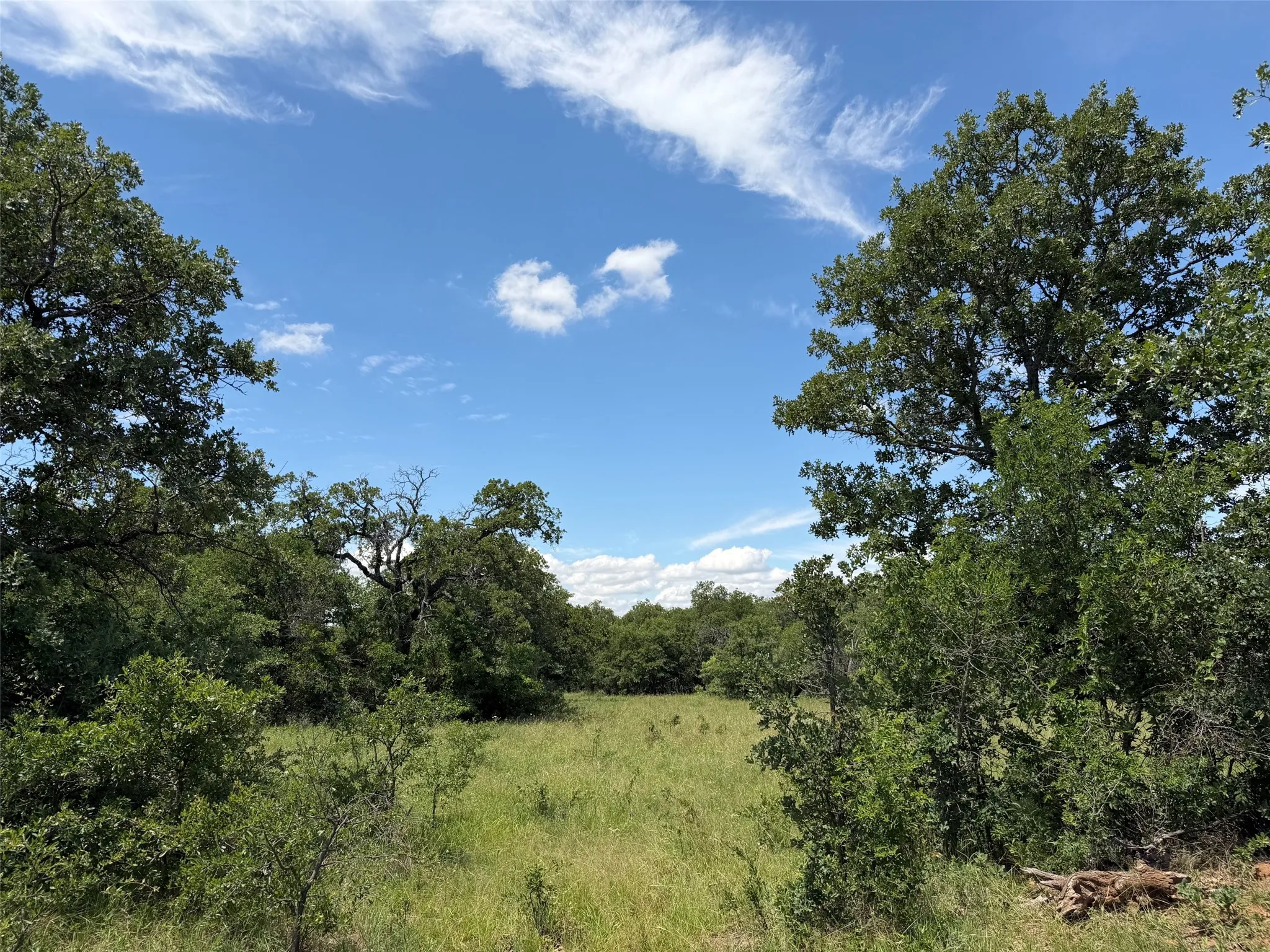 Unimproved Land For Sale in Young County , 0000 Rux Road, Newcastle, Texas 76372, 0, 0, Garage spaces, 0 Sqft, built in 0, Price $458,735, mls#21281910, Real Estate Agent in Newcastle, Homes For Sale in Young county, Homes For Sale in Newcastle, Realtor in Newcastle Texas, Real Estate Brokerage Independent Realty Texas, Luminita Cordes Realtor