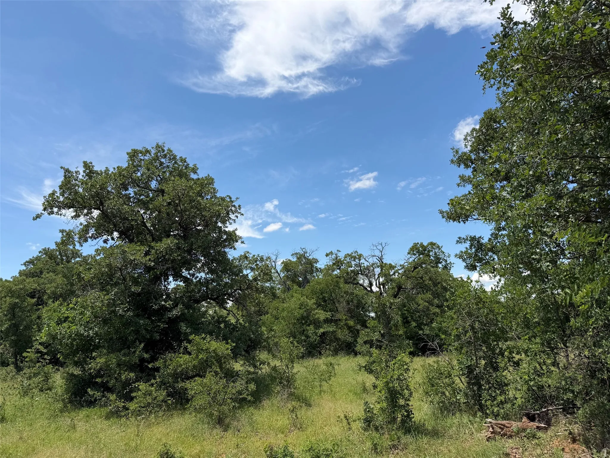 Unimproved Land For Sale in Young County , 0000 Rux Road, Newcastle, Texas 76372, 0, 0, Garage spaces, 0 Sqft, built in 0, Price $458,735, mls#21281910, Real Estate Agent in Newcastle, Homes For Sale in Young county, Homes For Sale in Newcastle, Realtor in Newcastle Texas, Real Estate Brokerage Independent Realty Texas, Luminita Cordes Realtor