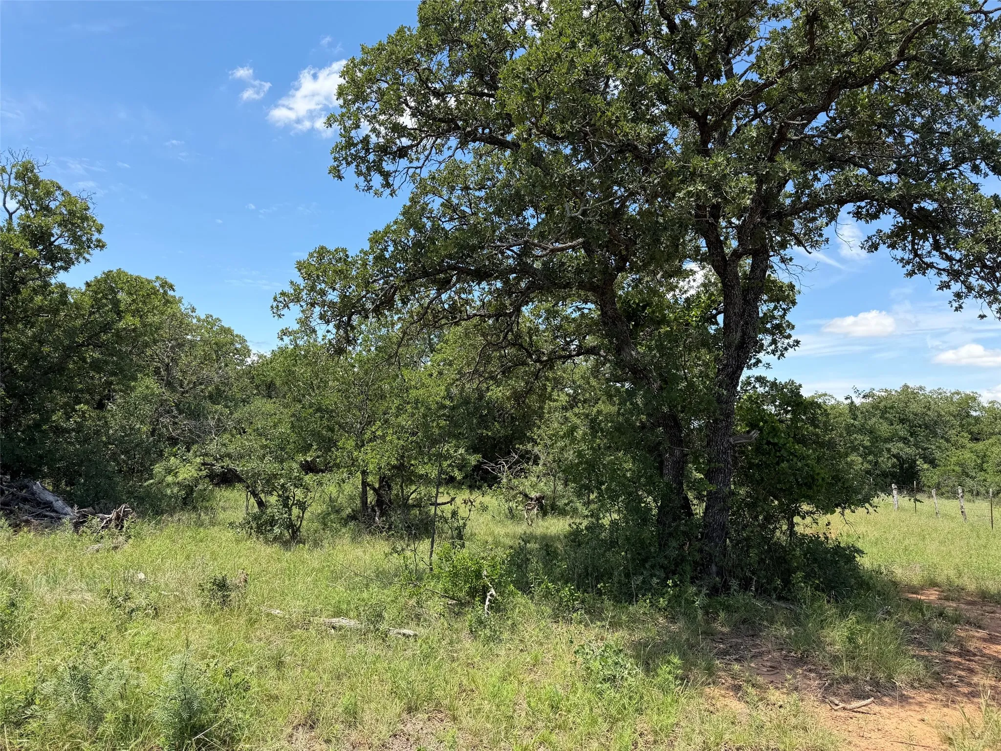 Unimproved Land For Sale in Young County , 0000 Rux Road, Newcastle, Texas 76372, 0, 0, Garage spaces, 0 Sqft, built in 0, Price $458,735, mls#21281910, Real Estate Agent in Newcastle, Homes For Sale in Young county, Homes For Sale in Newcastle, Realtor in Newcastle Texas, Real Estate Brokerage Independent Realty Texas, Luminita Cordes Realtor