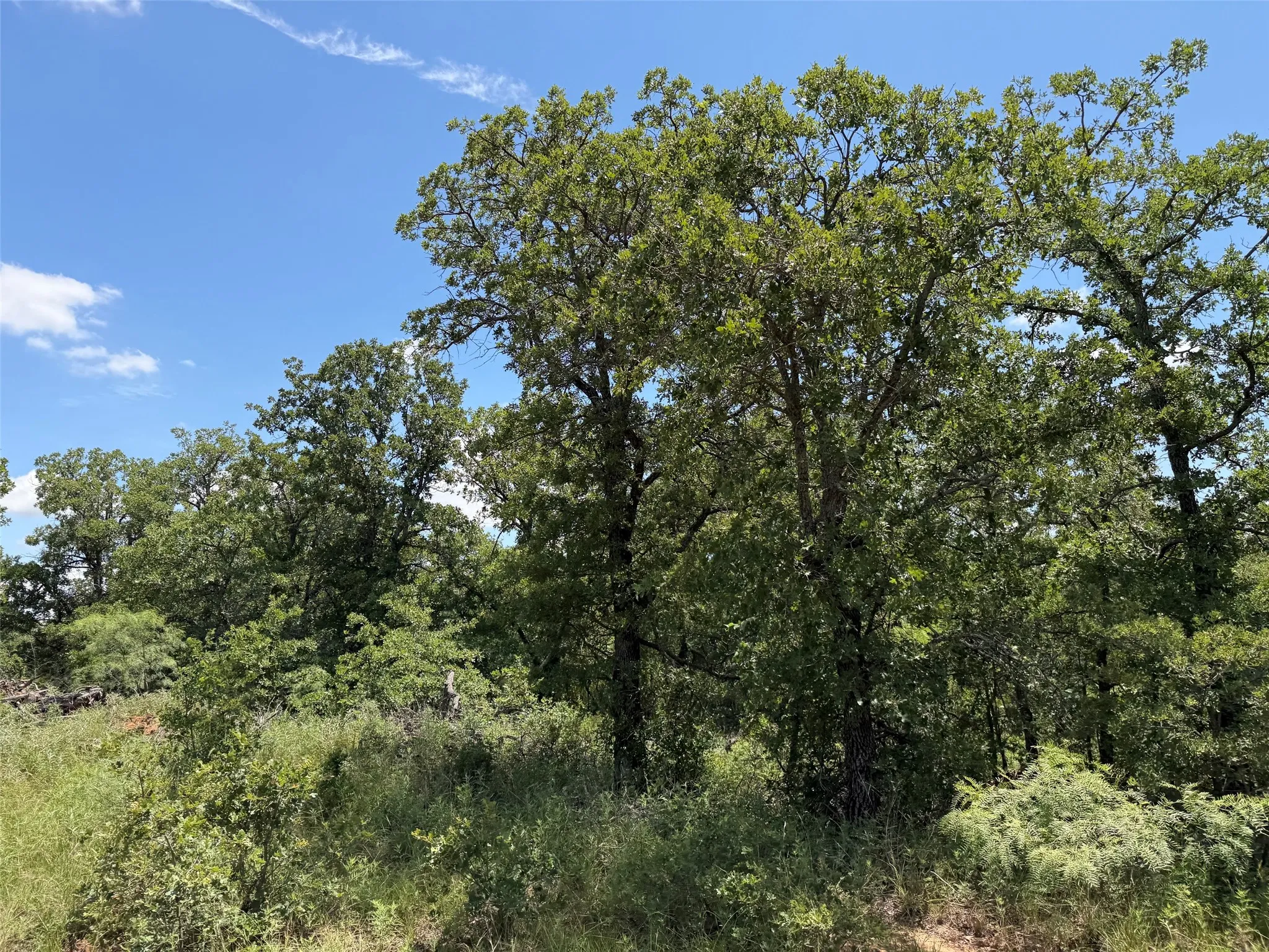 Unimproved Land For Sale in Young County , 0000 Rux Road, Newcastle, Texas 76372, 0, 0, Garage spaces, 0 Sqft, built in 0, Price $458,735, mls#21281910, Real Estate Agent in Newcastle, Homes For Sale in Young county, Homes For Sale in Newcastle, Realtor in Newcastle Texas, Real Estate Brokerage Independent Realty Texas, Luminita Cordes Realtor