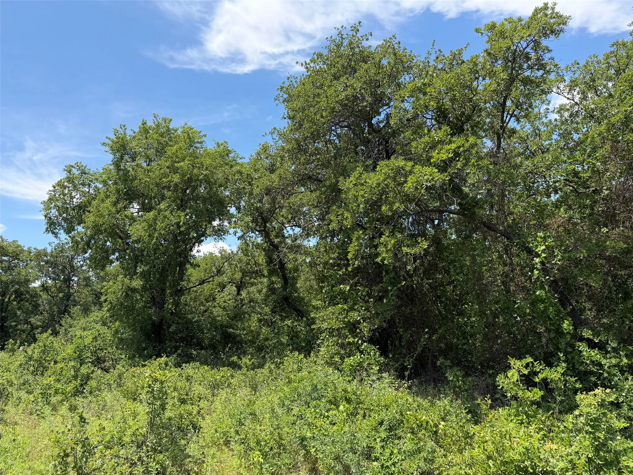 Unimproved Land For Sale in Young County , 0000 Rux Road, Newcastle, Texas 76372, 0, 0, Garage spaces, 0 Sqft, built in 0, Price $458,735, mls#21281910, Real Estate Agent in Newcastle, Homes For Sale in Young county, Homes For Sale in Newcastle, Realtor in Newcastle Texas, Real Estate Brokerage Independent Realty Texas, Luminita Cordes Realtor