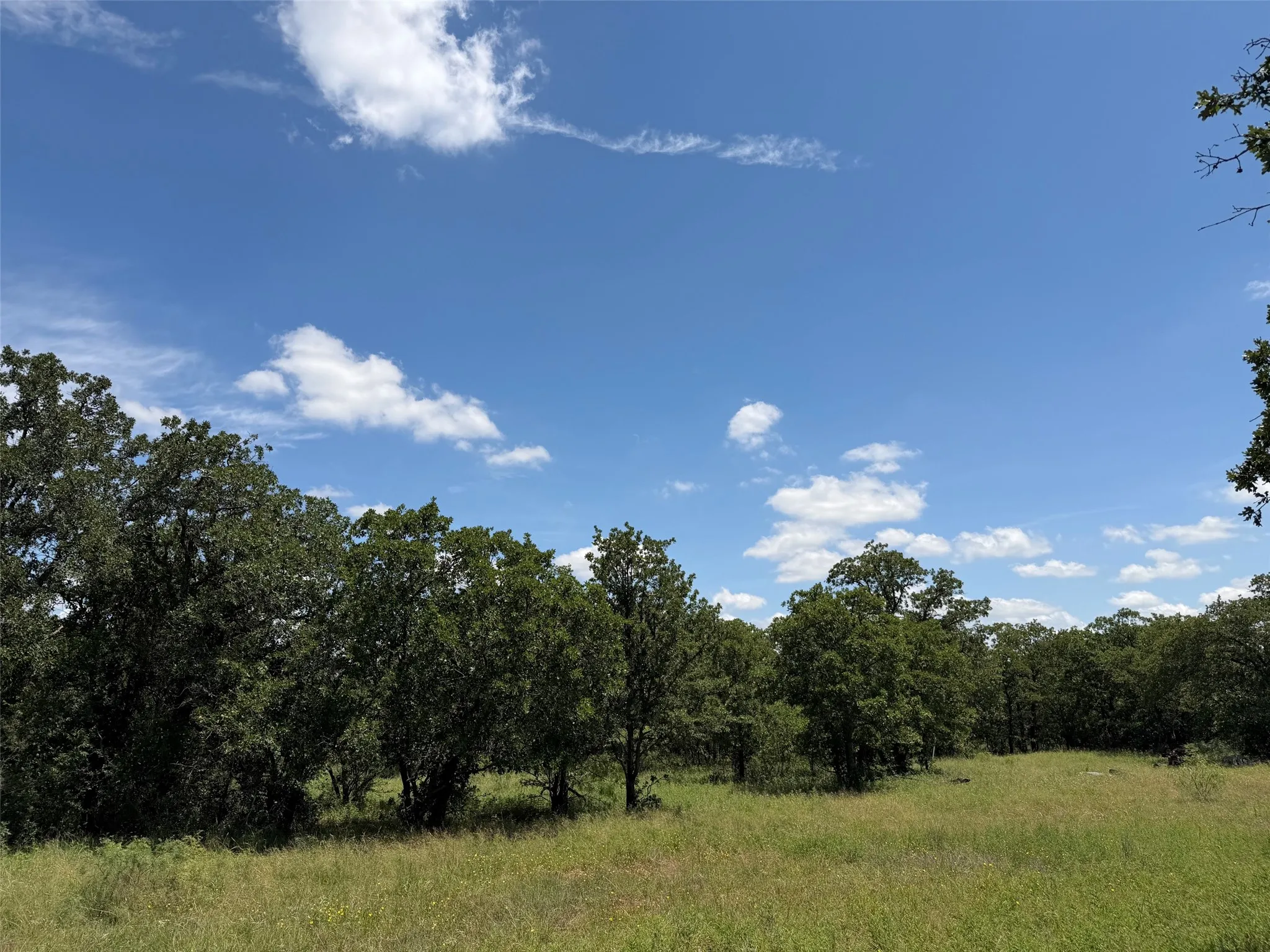 Unimproved Land For Sale in Young County , 0000 Rux Road, Newcastle, Texas 76372, 0, 0, Garage spaces, 0 Sqft, built in 0, Price $458,735, mls#21281910, Real Estate Agent in Newcastle, Homes For Sale in Young county, Homes For Sale in Newcastle, Realtor in Newcastle Texas, Real Estate Brokerage Independent Realty Texas, Luminita Cordes Realtor