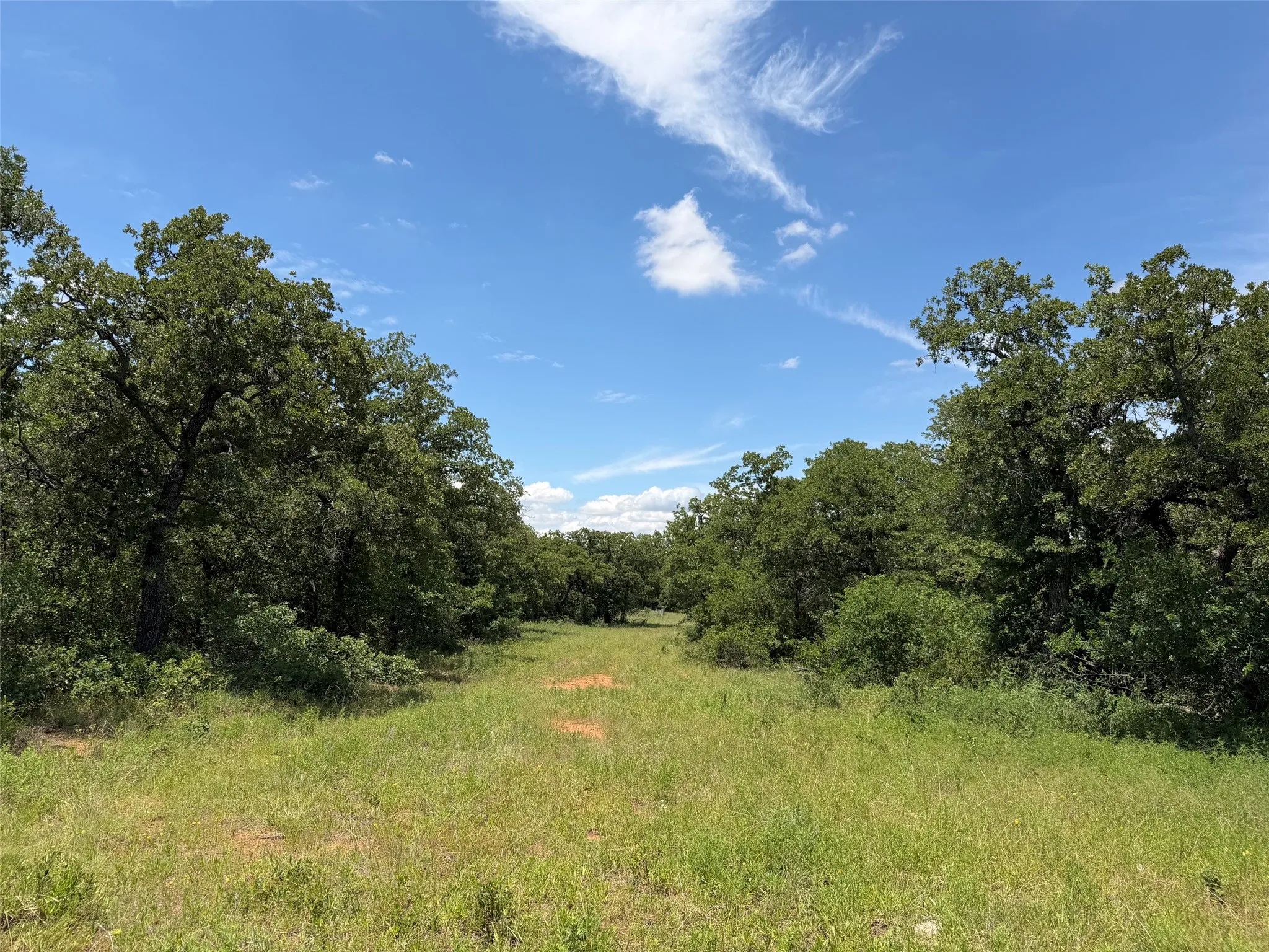 Unimproved Land For Sale in Young County , 0000 Rux Road, Newcastle, Texas 76372, 0, 0, Garage spaces, 0 Sqft, built in 0, Price $458,735, mls#21281910, Real Estate Agent in Newcastle, Homes For Sale in Young county, Homes For Sale in Newcastle, Realtor in Newcastle Texas, Real Estate Brokerage Independent Realty Texas, Luminita Cordes Realtor