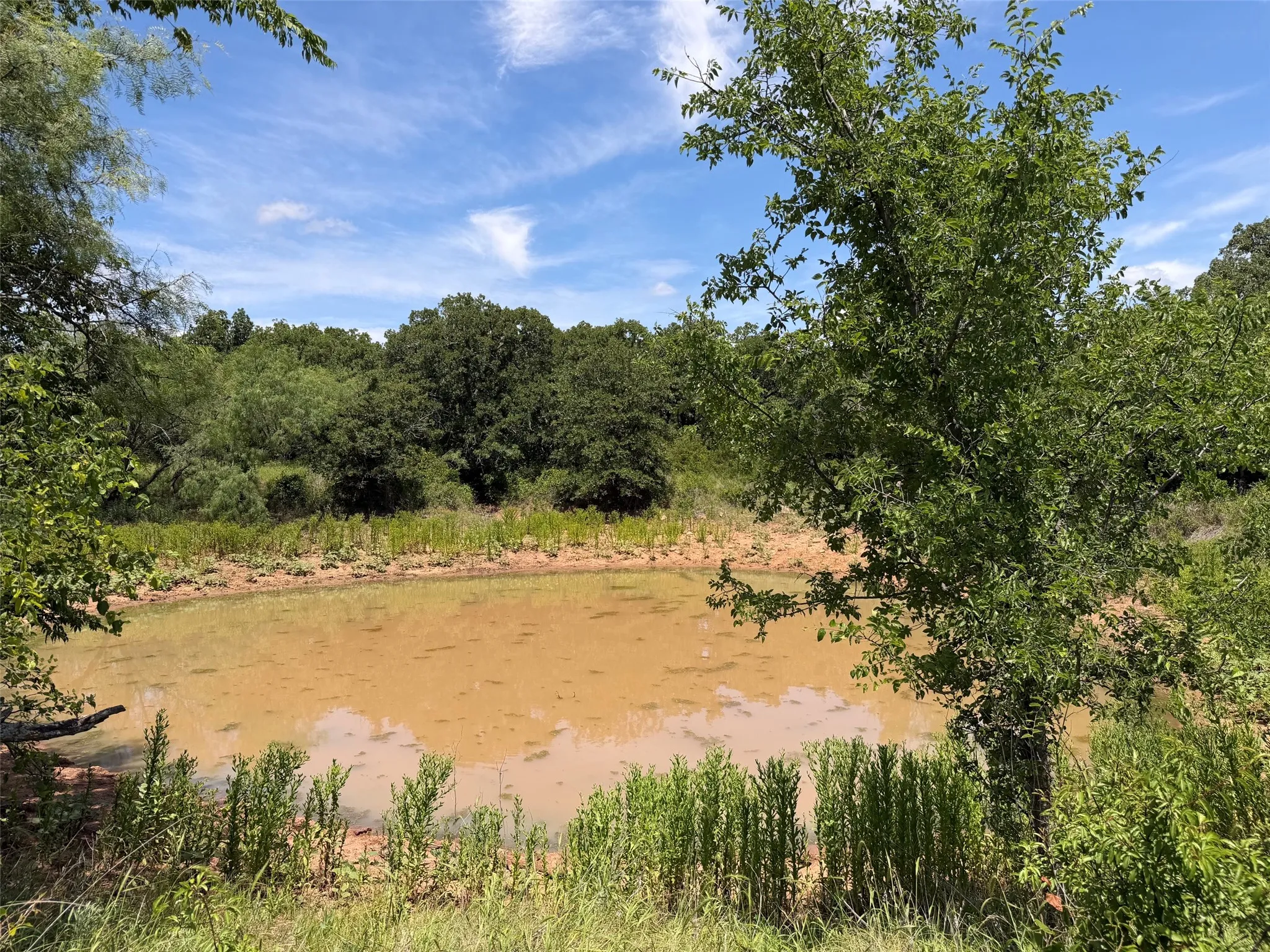 Unimproved Land For Sale in Young County , 0000 Rux Road, Newcastle, Texas 76372, 0, 0, Garage spaces, 0 Sqft, built in 0, Price $458,735, mls#21281910, Real Estate Agent in Newcastle, Homes For Sale in Young county, Homes For Sale in Newcastle, Realtor in Newcastle Texas, Real Estate Brokerage Independent Realty Texas, Luminita Cordes Realtor
