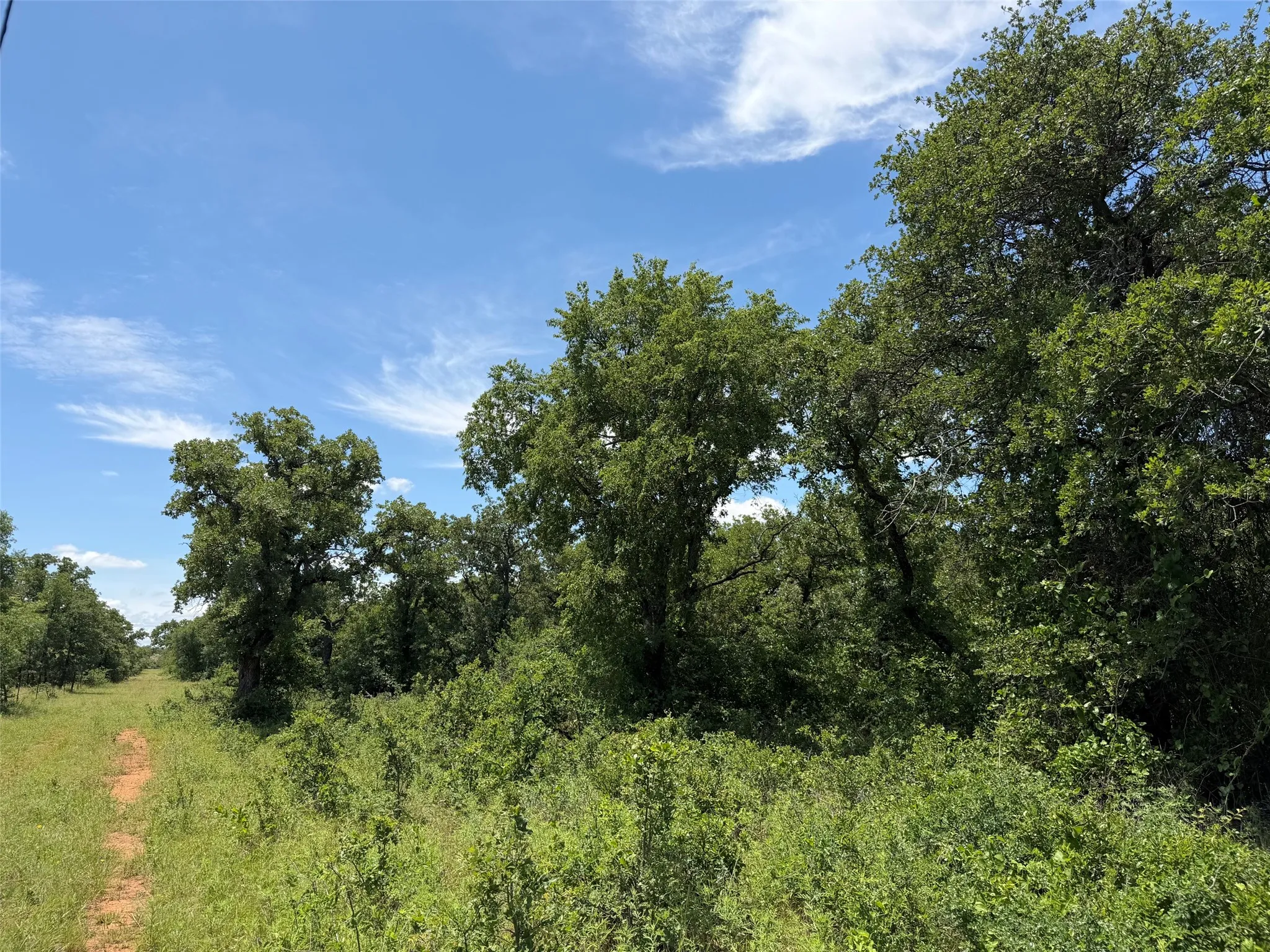 Unimproved Land For Sale in Young County , 0000 Rux Road, Newcastle, Texas 76372, 0, 0, Garage spaces, 0 Sqft, built in 0, Price $458,735, mls#21281910, Real Estate Agent in Newcastle, Homes For Sale in Young county, Homes For Sale in Newcastle, Realtor in Newcastle Texas, Real Estate Brokerage Independent Realty Texas, Luminita Cordes Realtor