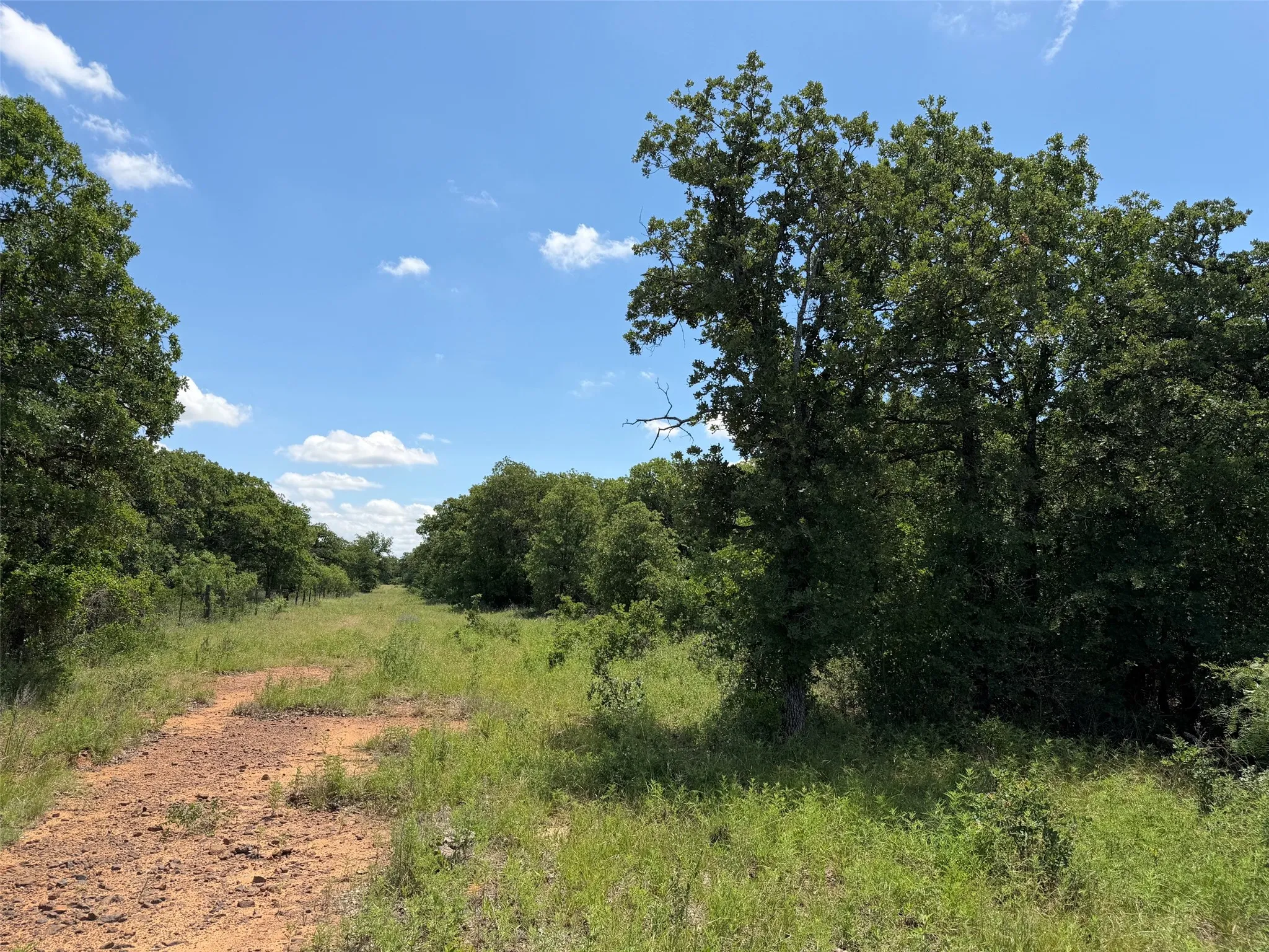 Unimproved Land For Sale in Young County , 0000 Rux Road, Newcastle, Texas 76372, 0, 0, Garage spaces, 0 Sqft, built in 0, Price $458,735, mls#21281910, Real Estate Agent in Newcastle, Homes For Sale in Young county, Homes For Sale in Newcastle, Realtor in Newcastle Texas, Real Estate Brokerage Independent Realty Texas, Luminita Cordes Realtor