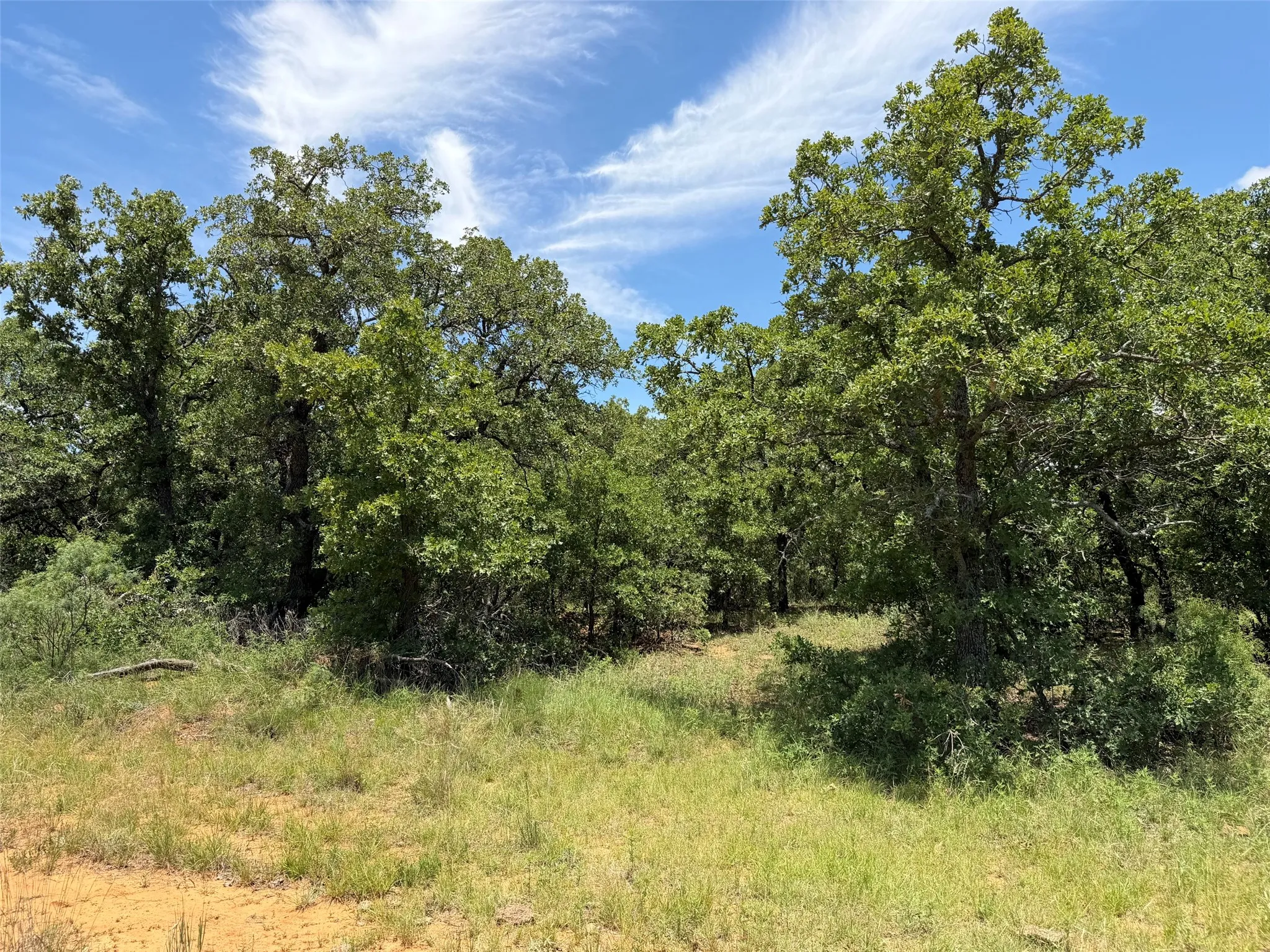 Unimproved Land For Sale in Young County , 0000 Rux Road, Newcastle, Texas 76372, 0, 0, Garage spaces, 0 Sqft, built in 0, Price $458,735, mls#21281910, Real Estate Agent in Newcastle, Homes For Sale in Young county, Homes For Sale in Newcastle, Realtor in Newcastle Texas, Real Estate Brokerage Independent Realty Texas, Luminita Cordes Realtor