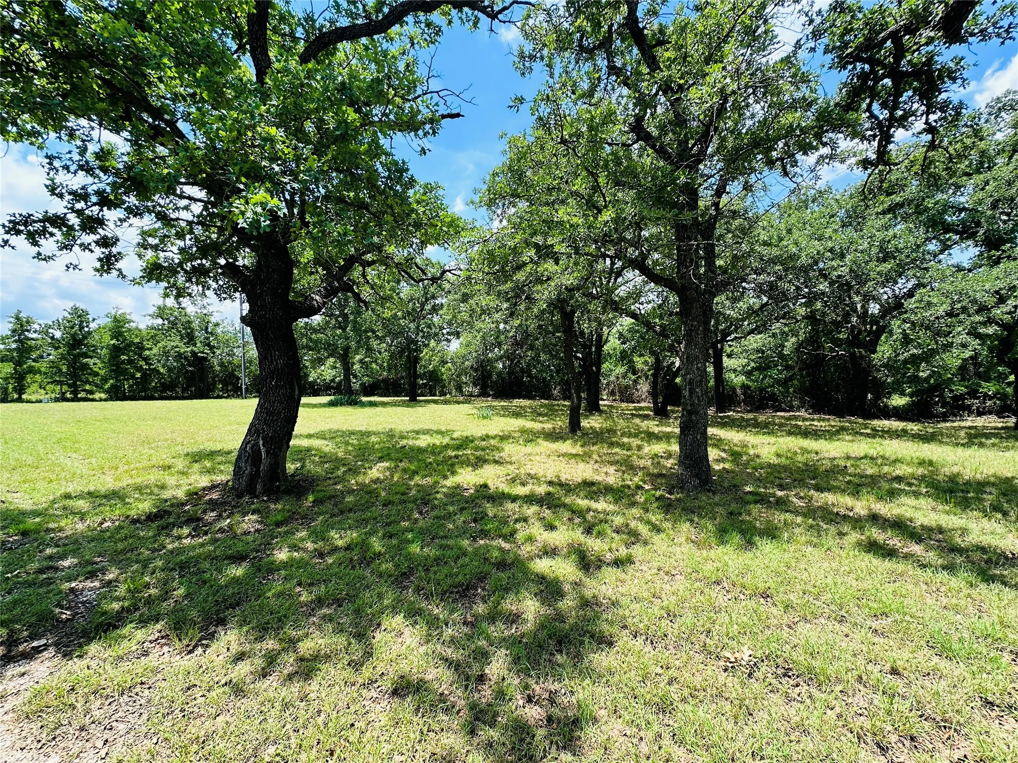 Mobile Home For Sale in Callahan County , 12264 County Road 404, Cross Plains, Texas 76443, 4 Bedroom, 2 Bathroom, Garage spaces, 1,904 Sqft, built in 1997, mls#21280107, Real Estate Agent in Cross Plains, Homes For Sale in Callahan county, Homes For Sale in Cross Plains, Realtor in Cross Plains Texas, Real Estate Brokerage Independent Realty Texas, Luminita Cordes Realtor