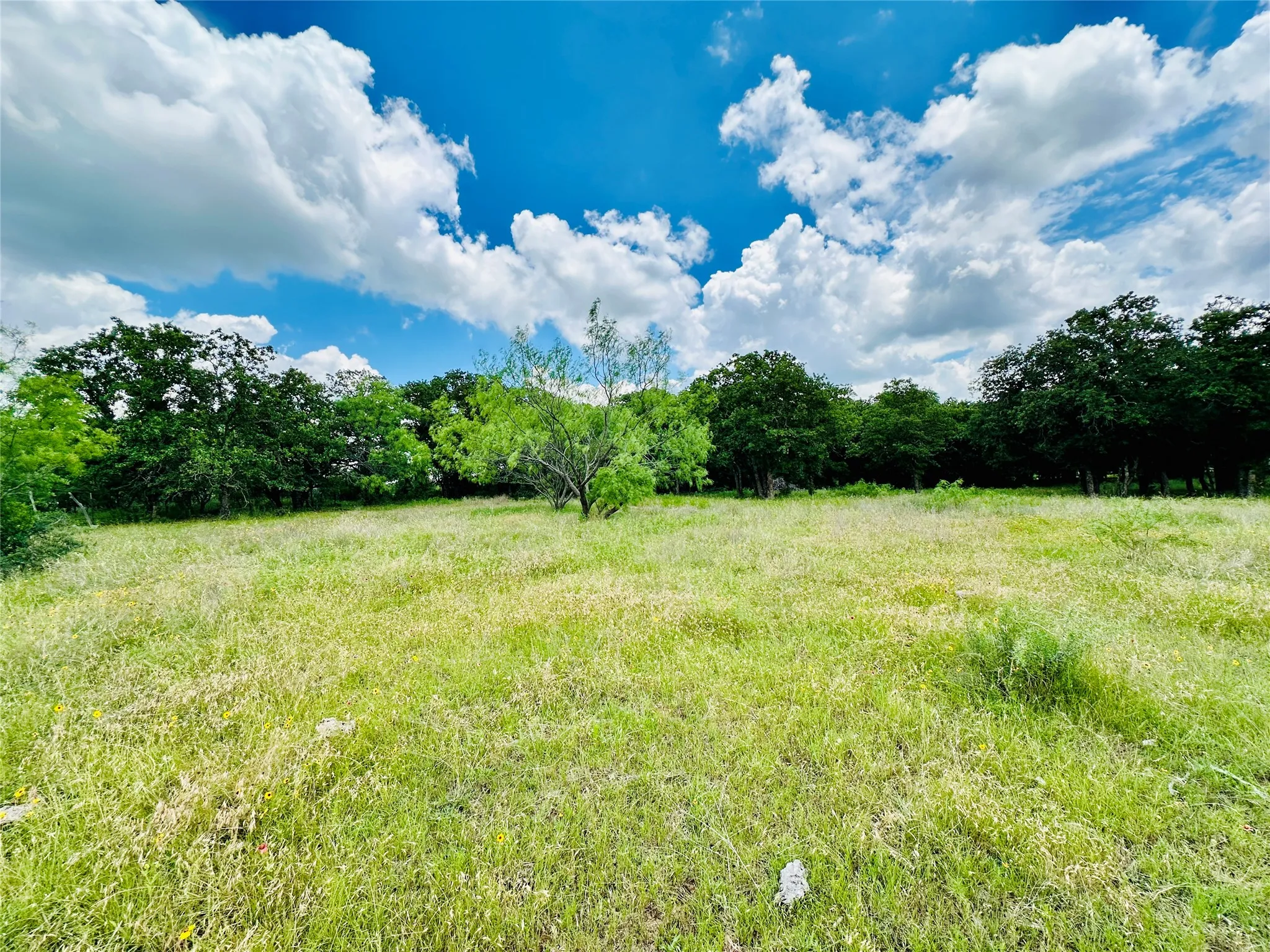 Mobile Home For Sale in Callahan County , 12264 County Road 404, Cross Plains, Texas 76443, 4 Bedroom, 2 Bathroom, Garage spaces, 1,904 Sqft, built in 1997, mls#21280107, Real Estate Agent in Cross Plains, Homes For Sale in Callahan county, Homes For Sale in Cross Plains, Realtor in Cross Plains Texas, Real Estate Brokerage Independent Realty Texas, Luminita Cordes Realtor
