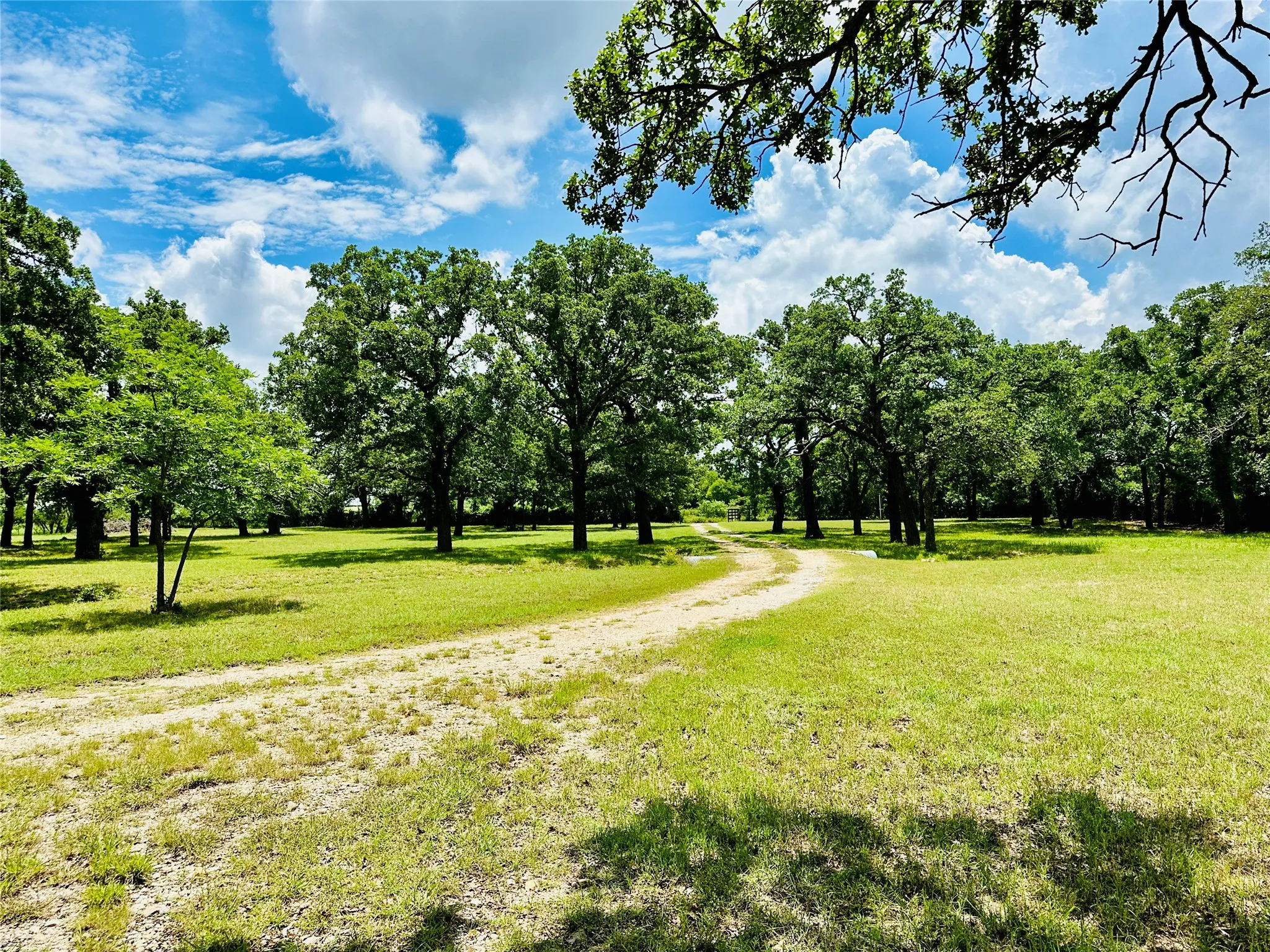 Mobile Home For Sale in Callahan County , 12264 County Road 404, Cross Plains, Texas 76443, 4 Bedroom, 2 Bathroom, Garage spaces, 1,904 Sqft, built in 1997, mls#21280107, Real Estate Agent in Cross Plains, Homes For Sale in Callahan county, Homes For Sale in Cross Plains, Realtor in Cross Plains Texas, Real Estate Brokerage Independent Realty Texas, Luminita Cordes Realtor