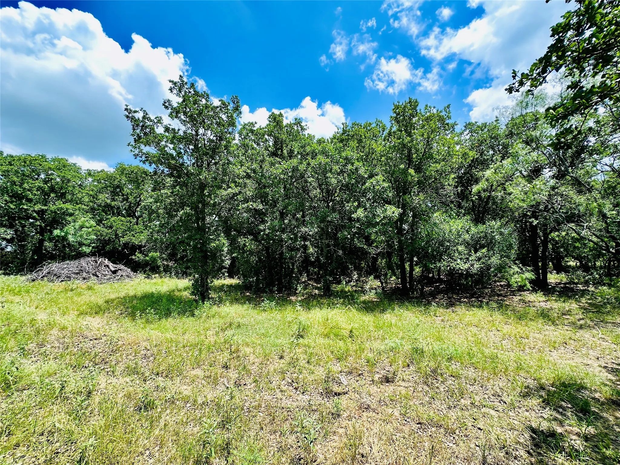 Mobile Home For Sale in Callahan County , 12264 County Road 404, Cross Plains, Texas 76443, 4 Bedroom, 2 Bathroom, Garage spaces, 1,904 Sqft, built in 1997, mls#21280107, Real Estate Agent in Cross Plains, Homes For Sale in Callahan county, Homes For Sale in Cross Plains, Realtor in Cross Plains Texas, Real Estate Brokerage Independent Realty Texas, Luminita Cordes Realtor