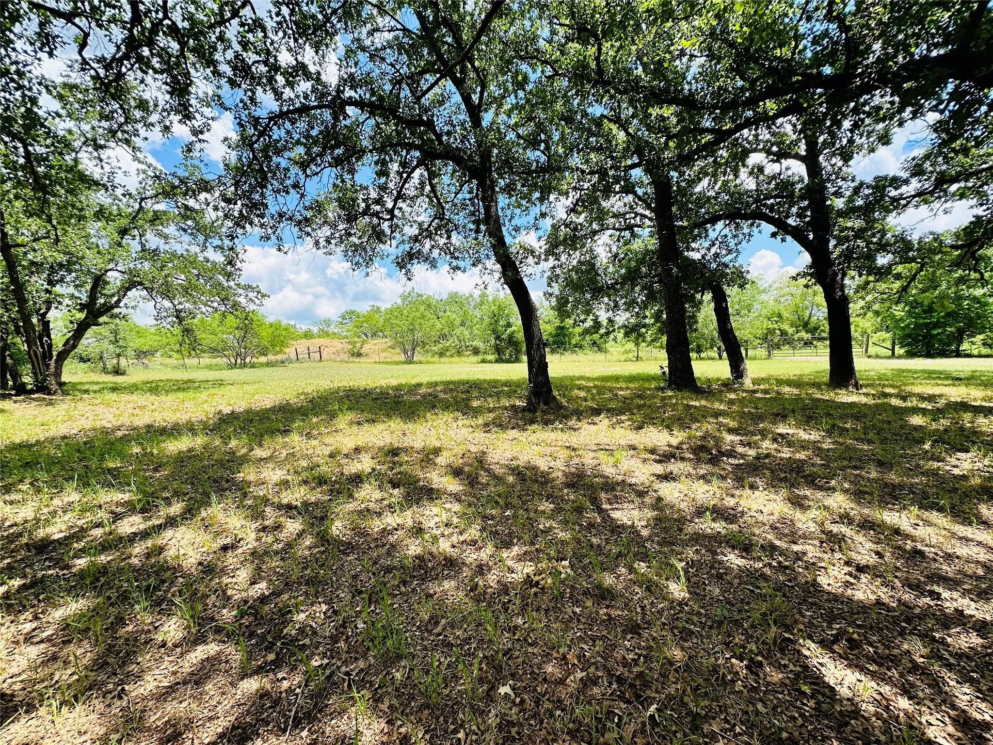 Mobile Home For Sale in Callahan County , 12264 County Road 404, Cross Plains, Texas 76443, 4 Bedroom, 2 Bathroom, Garage spaces, 1,904 Sqft, built in 1997, mls#21280107, Real Estate Agent in Cross Plains, Homes For Sale in Callahan county, Homes For Sale in Cross Plains, Realtor in Cross Plains Texas, Real Estate Brokerage Independent Realty Texas, Luminita Cordes Realtor