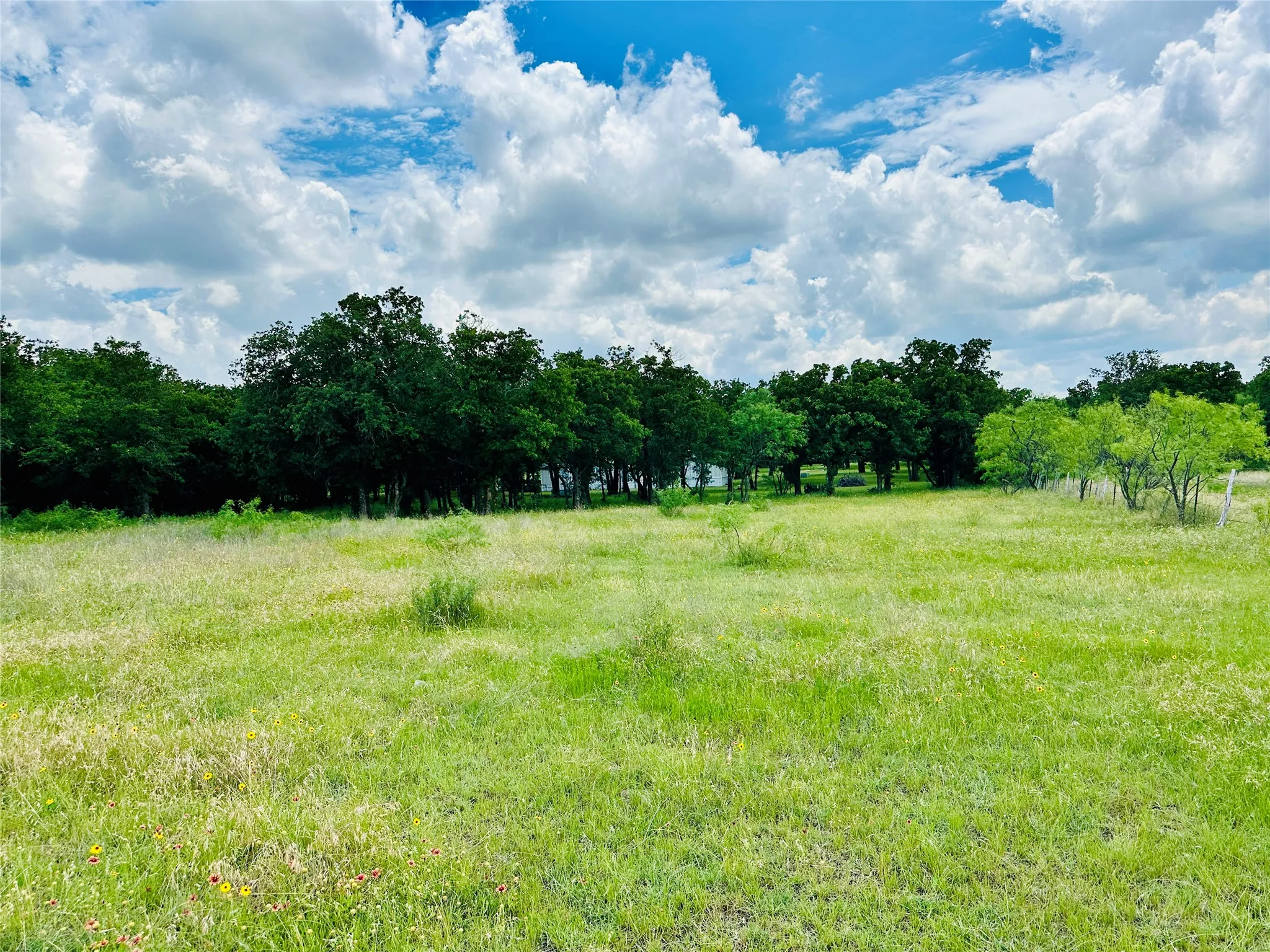 Mobile Home For Sale in Callahan County , 12264 County Road 404, Cross Plains, Texas 76443, 4 Bedroom, 2 Bathroom, Garage spaces, 1,904 Sqft, built in 1997, mls#21280107, Real Estate Agent in Cross Plains, Homes For Sale in Callahan county, Homes For Sale in Cross Plains, Realtor in Cross Plains Texas, Real Estate Brokerage Independent Realty Texas, Luminita Cordes Realtor