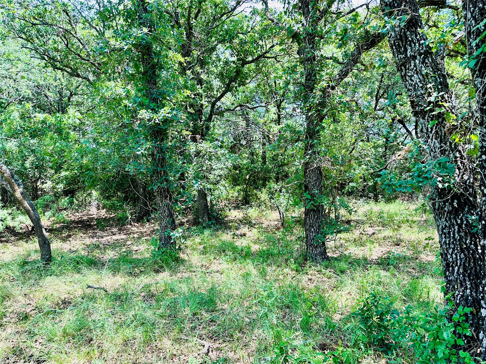 Mobile Home For Sale in Callahan County , 12264 County Road 404, Cross Plains, Texas 76443, 4 Bedroom, 2 Bathroom, Garage spaces, 1,904 Sqft, built in 1997, mls#21280107, Real Estate Agent in Cross Plains, Homes For Sale in Callahan county, Homes For Sale in Cross Plains, Realtor in Cross Plains Texas, Real Estate Brokerage Independent Realty Texas, Luminita Cordes Realtor