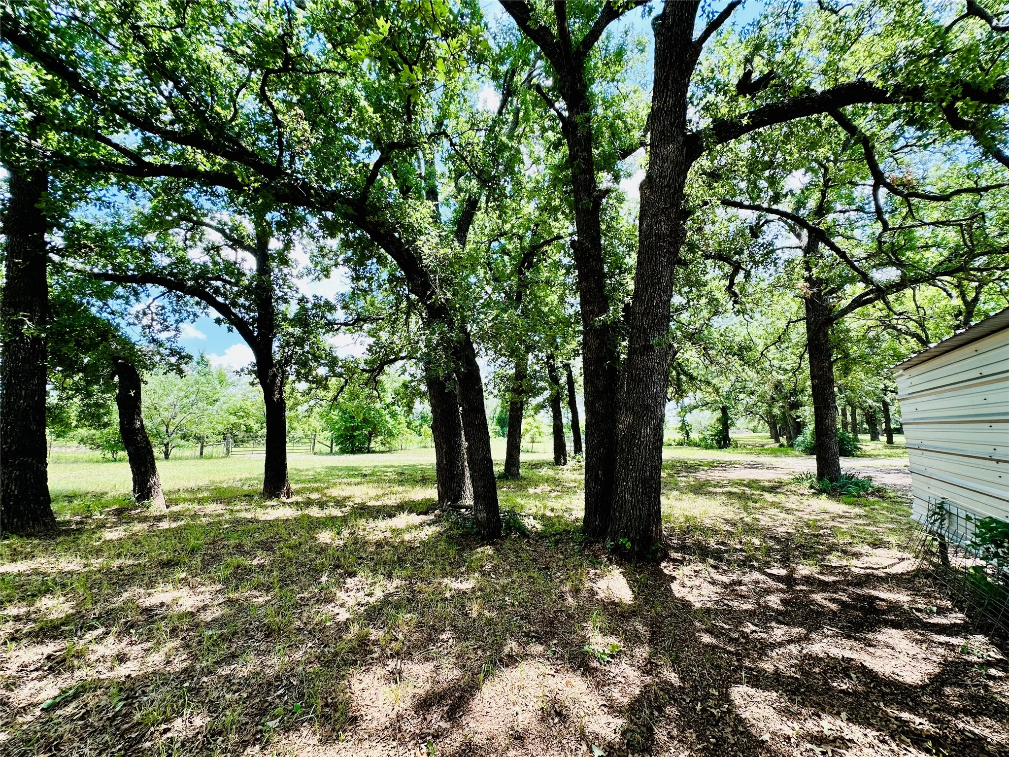 Mobile Home For Sale in Callahan County , 12264 County Road 404, Cross Plains, Texas 76443, 4 Bedroom, 2 Bathroom, Garage spaces, 1,904 Sqft, built in 1997, mls#21280107, Real Estate Agent in Cross Plains, Homes For Sale in Callahan county, Homes For Sale in Cross Plains, Realtor in Cross Plains Texas, Real Estate Brokerage Independent Realty Texas, Luminita Cordes Realtor