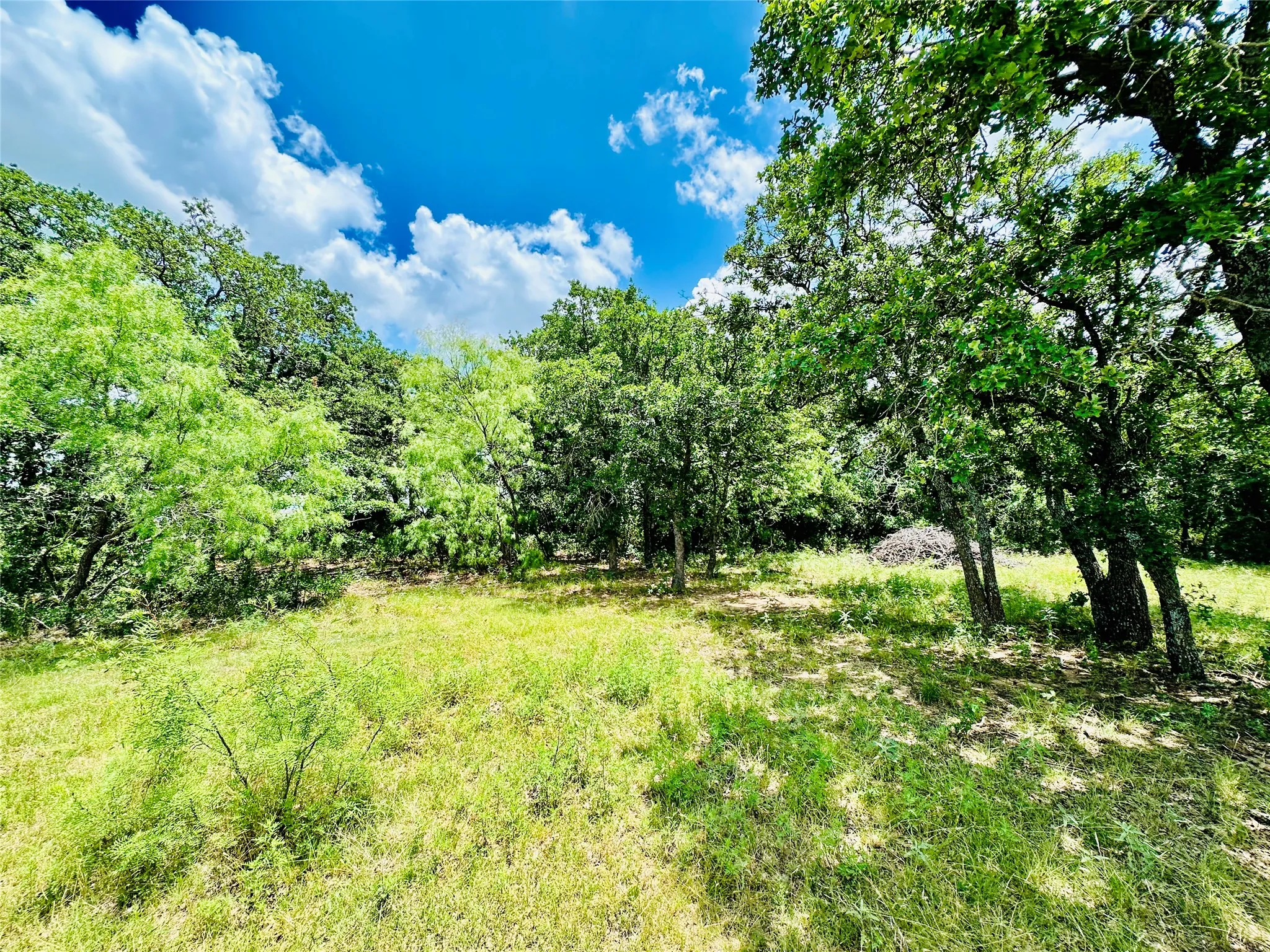 Mobile Home For Sale in Callahan County , 12264 County Road 404, Cross Plains, Texas 76443, 4 Bedroom, 2 Bathroom, Garage spaces, 1,904 Sqft, built in 1997, mls#21280107, Real Estate Agent in Cross Plains, Homes For Sale in Callahan county, Homes For Sale in Cross Plains, Realtor in Cross Plains Texas, Real Estate Brokerage Independent Realty Texas, Luminita Cordes Realtor