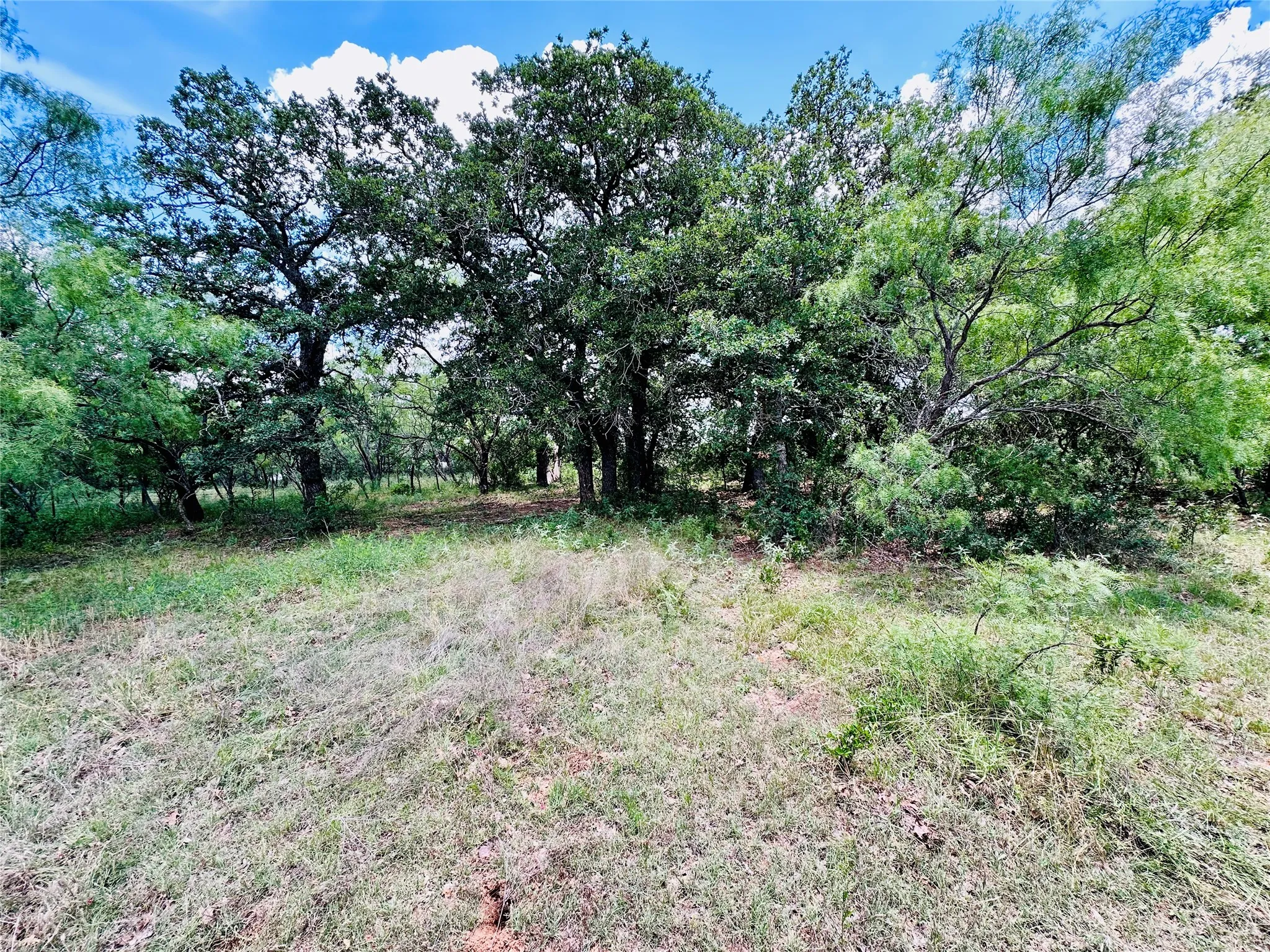 Mobile Home For Sale in Callahan County , 12264 County Road 404, Cross Plains, Texas 76443, 4 Bedroom, 2 Bathroom, Garage spaces, 1,904 Sqft, built in 1997, mls#21280107, Real Estate Agent in Cross Plains, Homes For Sale in Callahan county, Homes For Sale in Cross Plains, Realtor in Cross Plains Texas, Real Estate Brokerage Independent Realty Texas, Luminita Cordes Realtor