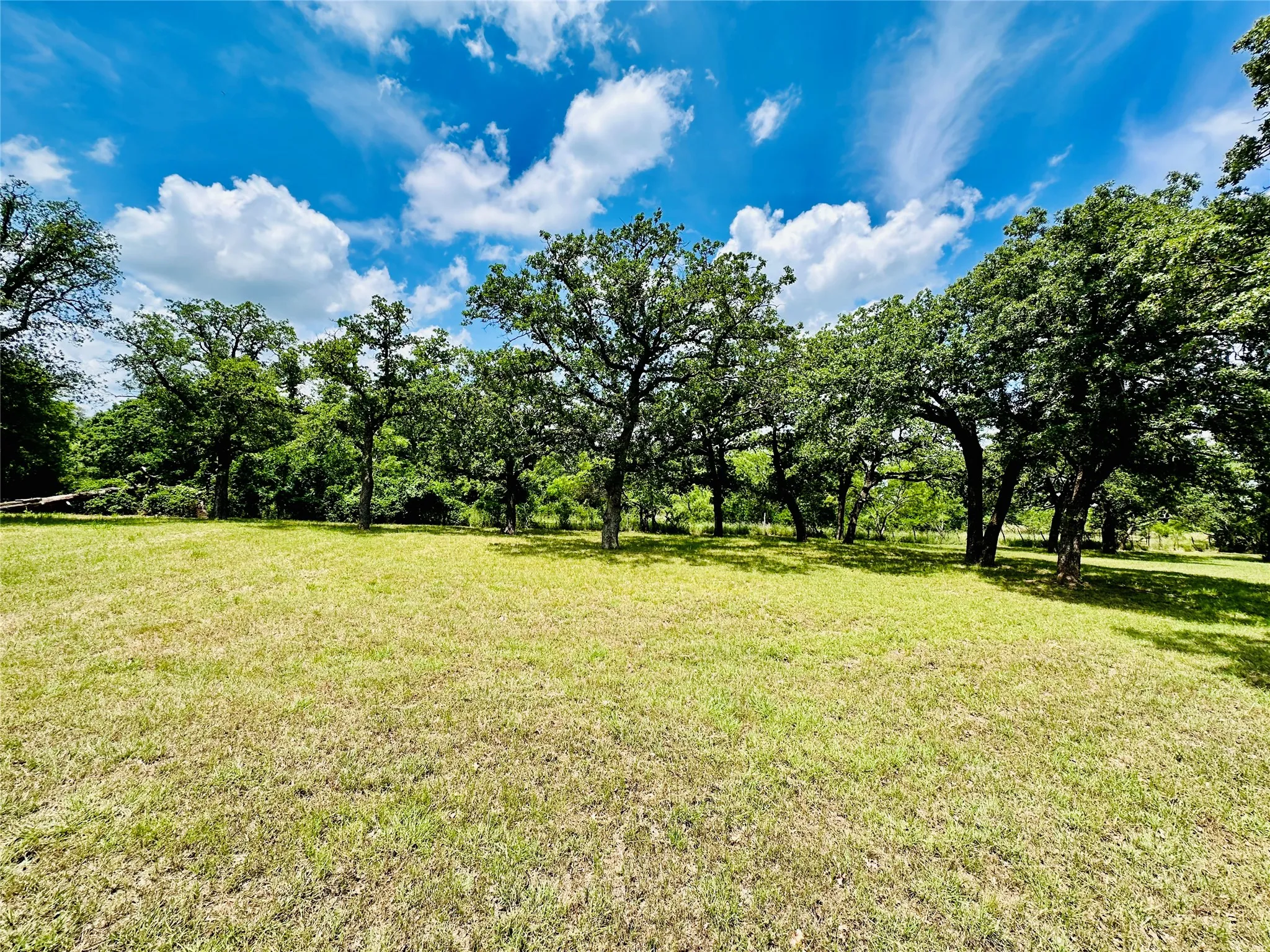 Mobile Home For Sale in Callahan County , 12264 County Road 404, Cross Plains, Texas 76443, 4 Bedroom, 2 Bathroom, Garage spaces, 1,904 Sqft, built in 1997, mls#21280107, Real Estate Agent in Cross Plains, Homes For Sale in Callahan county, Homes For Sale in Cross Plains, Realtor in Cross Plains Texas, Real Estate Brokerage Independent Realty Texas, Luminita Cordes Realtor