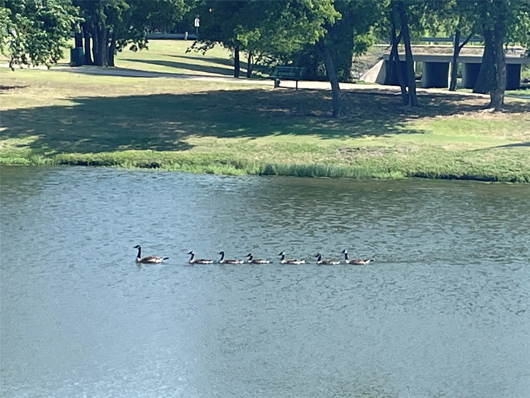 Water views where wildlife congregate.