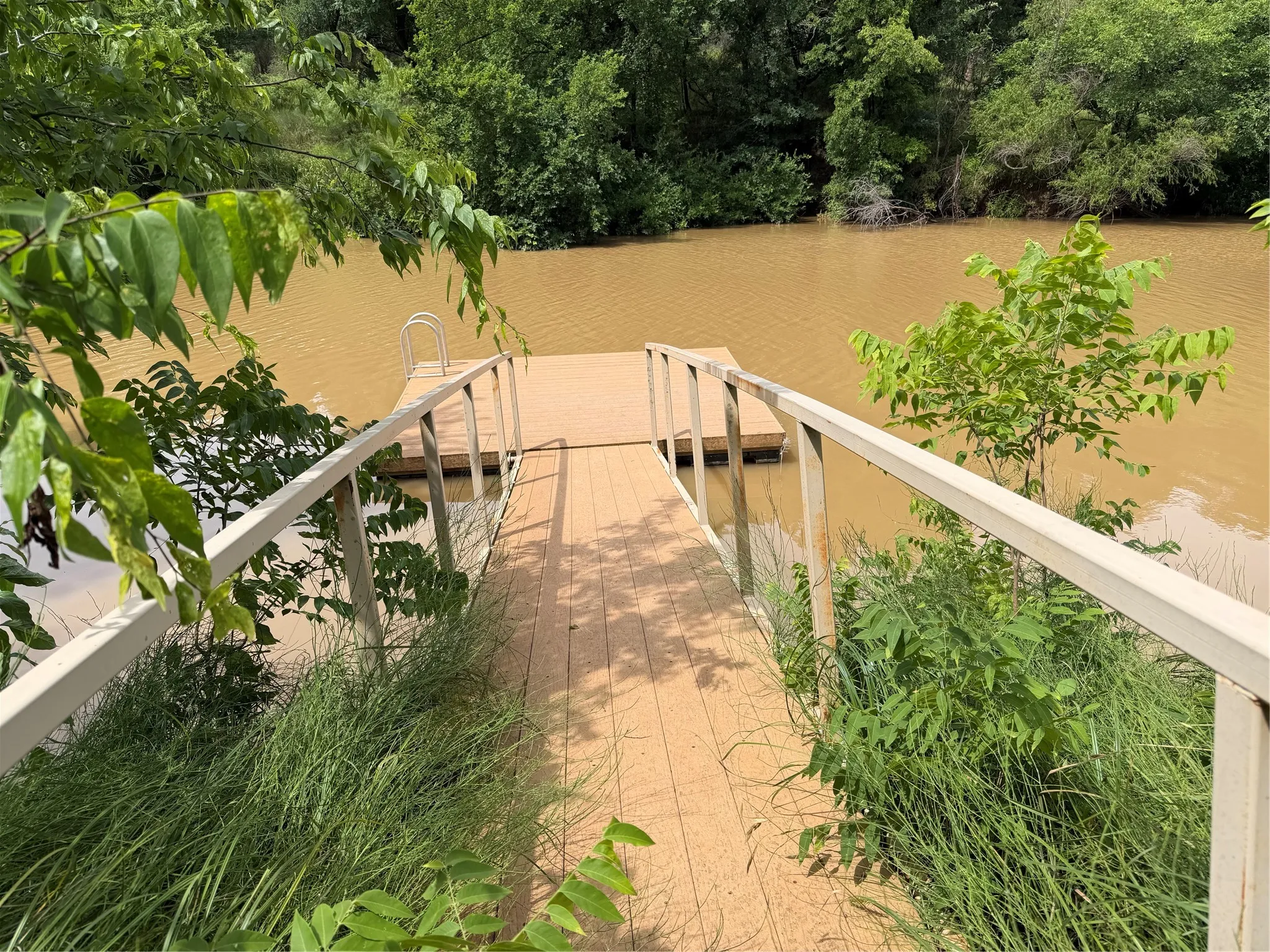 Private dock extending over a body of water, featuring a ladder for water access