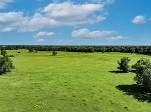 Ranch For Sale in Hopkins County , TBD County Road 3560, Dike, Texas 75437, 0, 0, Garage spaces, 0 Sqft, built in 0, Price $540,000, mls#21269241, Real Estate Agent in Dike, Homes For Sale in Hopkins county, Homes For Sale in Dike, Realtor in Dike Texas, Real Estate Brokerage Independent Realty Texas, Luminita Cordes Realtor