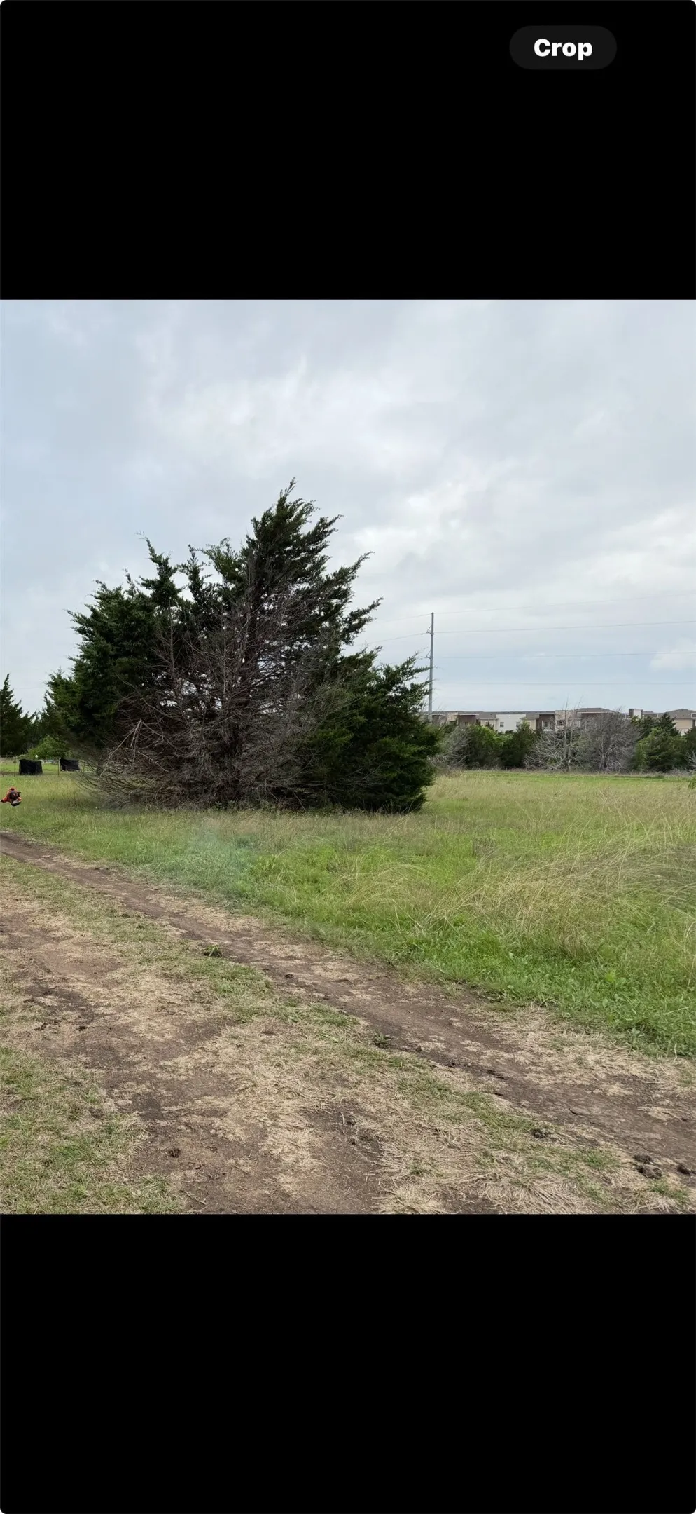 Unimproved Land For Sale in Ellis County , 157 W Wood Dell, Glenn Heights, Texas 75154, 0, 0, Garage spaces, 0 Sqft, built in 0, Price $65,000, mls#21282140, Real Estate Agent in Glenn Heights, Homes For Sale in Ellis county, Homes For Sale in Glenn Heights, Realtor in Glenn Heights Texas, Real Estate Brokerage Independent Realty Texas, Luminita Cordes Realtor
