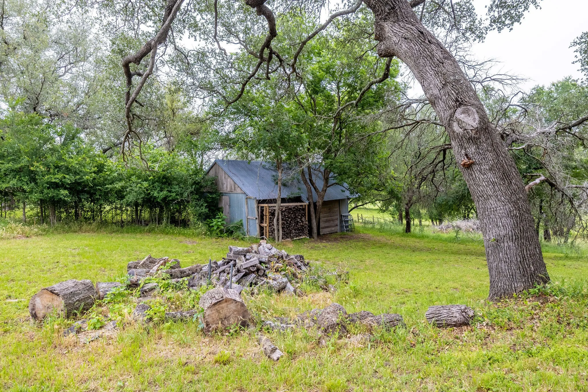 Expansive green lawn featuring mature trees and a rustic wood shed with a metal roof