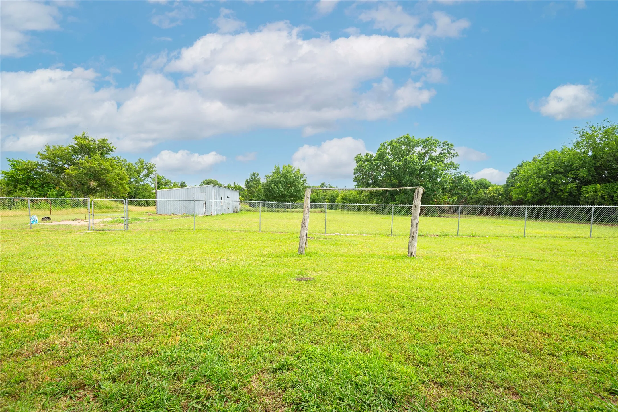 Expansive green yard space featuring perimeter chain link fencing, a separate fenced enclosure, and a metal-sided utility building
