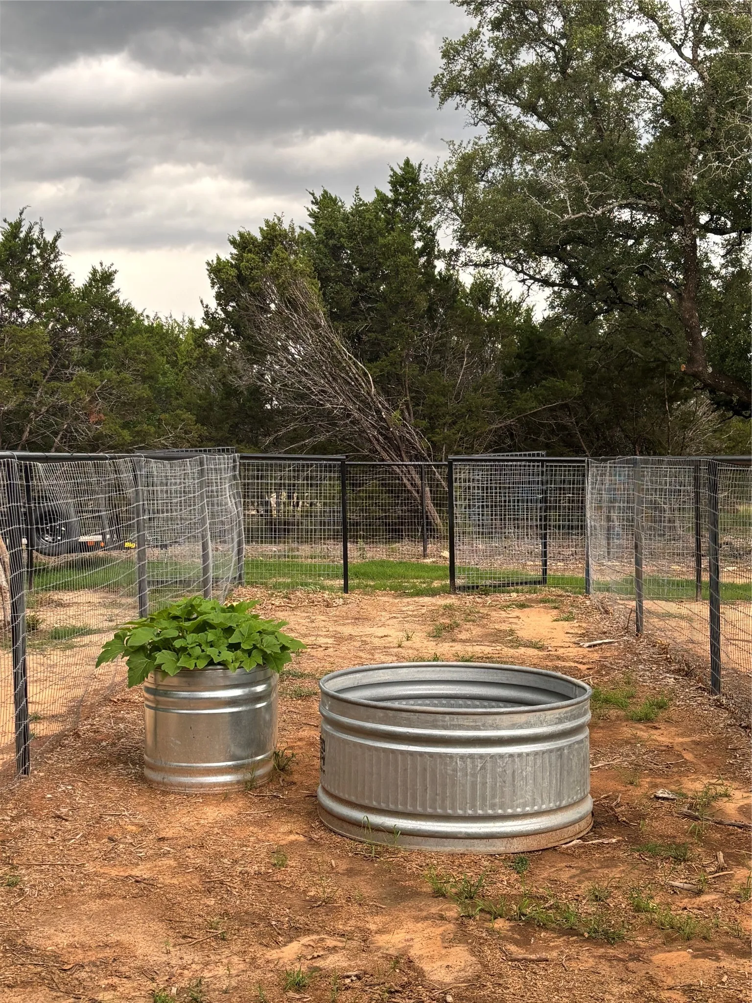 Single Family Residence For Rent in Hood County , 1034 Sanctuary Drive, Tolar, Texas 76476, 1 Bedroom, 1 Bathroom, Garage spaces, 553 Sqft, built in 2025, Price $2,500, mls#21281800, Real Estate Agent in Tolar, Homes For Rent in Hood county, Homes For Rent in Tolar, Realtor in Tolar Texas, Real Estate Brokerage Independent Realty Texas, Luminita Cordes Realtor