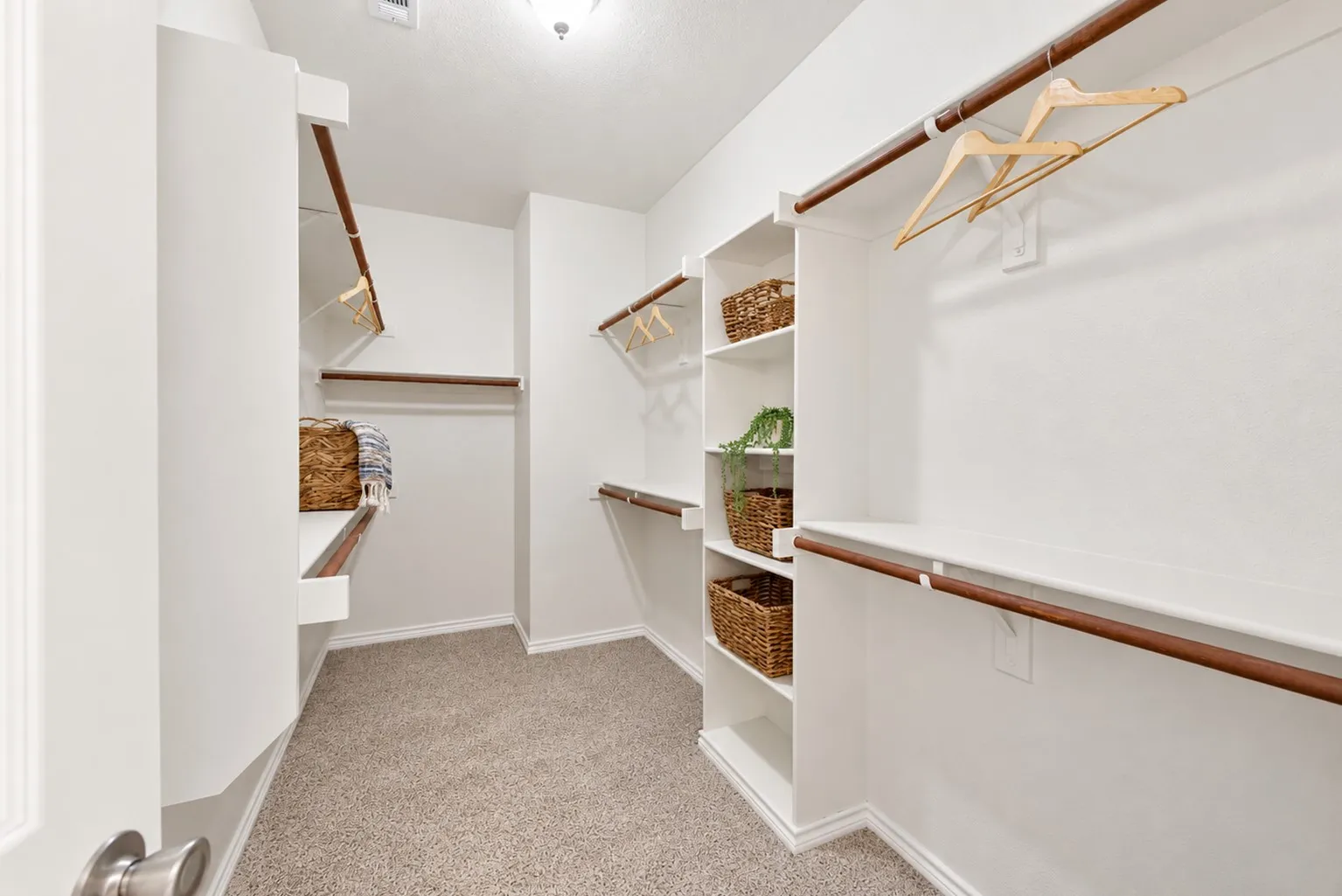 Walk-in closet with carpet flooring, built-in shelving, and wood-finish hanging rods