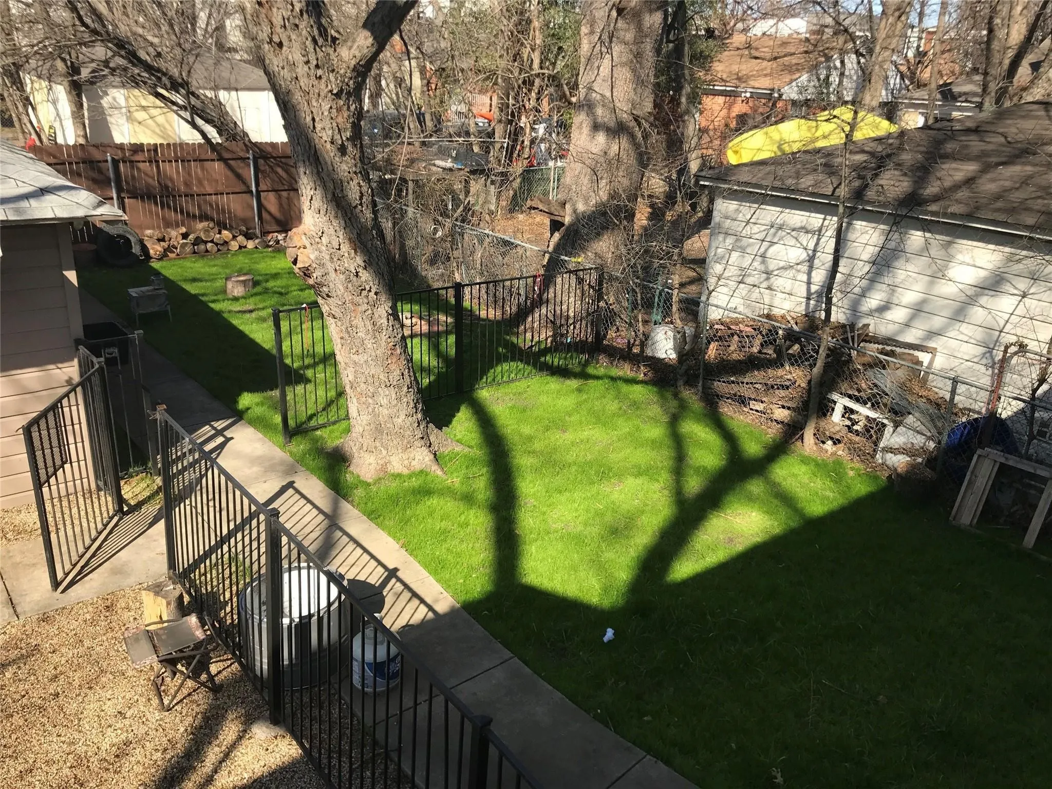 Expansive backyard featuring a manicured lawn, established trees, and perimeter fencing