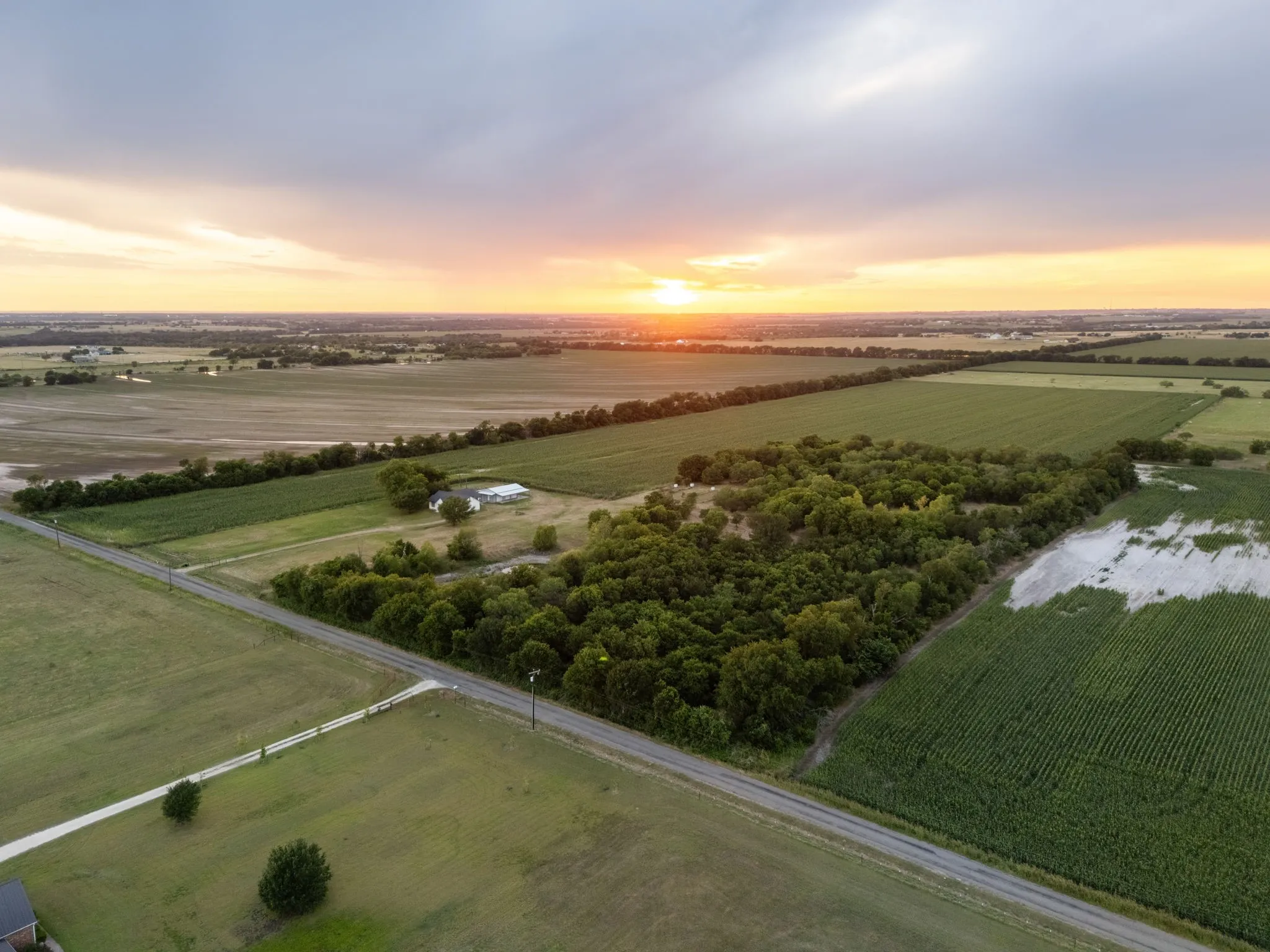 Expansive agricultural land featuring a tree-lined perimeter, open fields, and paved road access