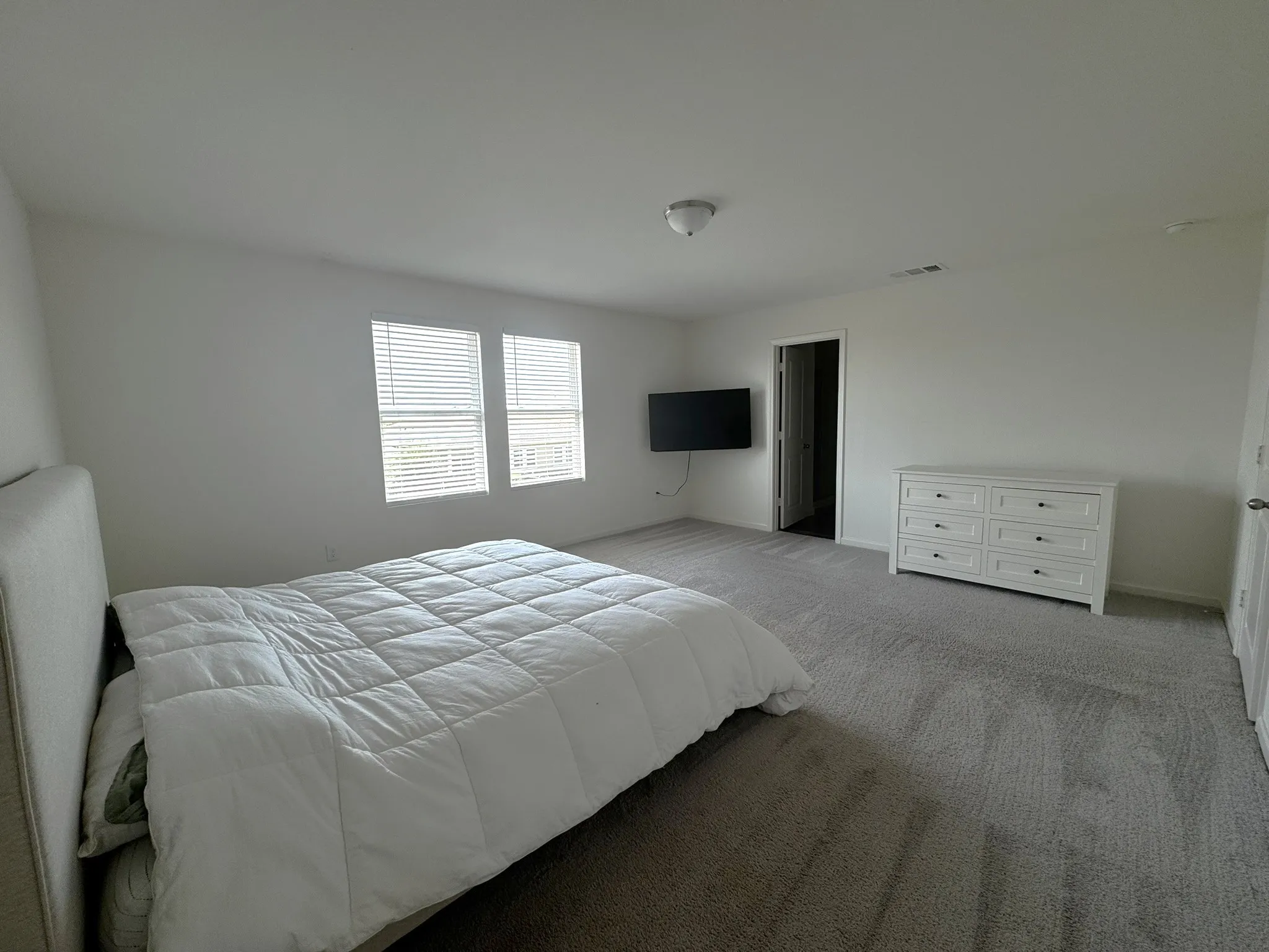 Spacious room featuring neutral carpeting, two windows with blinds, and a ceiling-mounted light fixture
