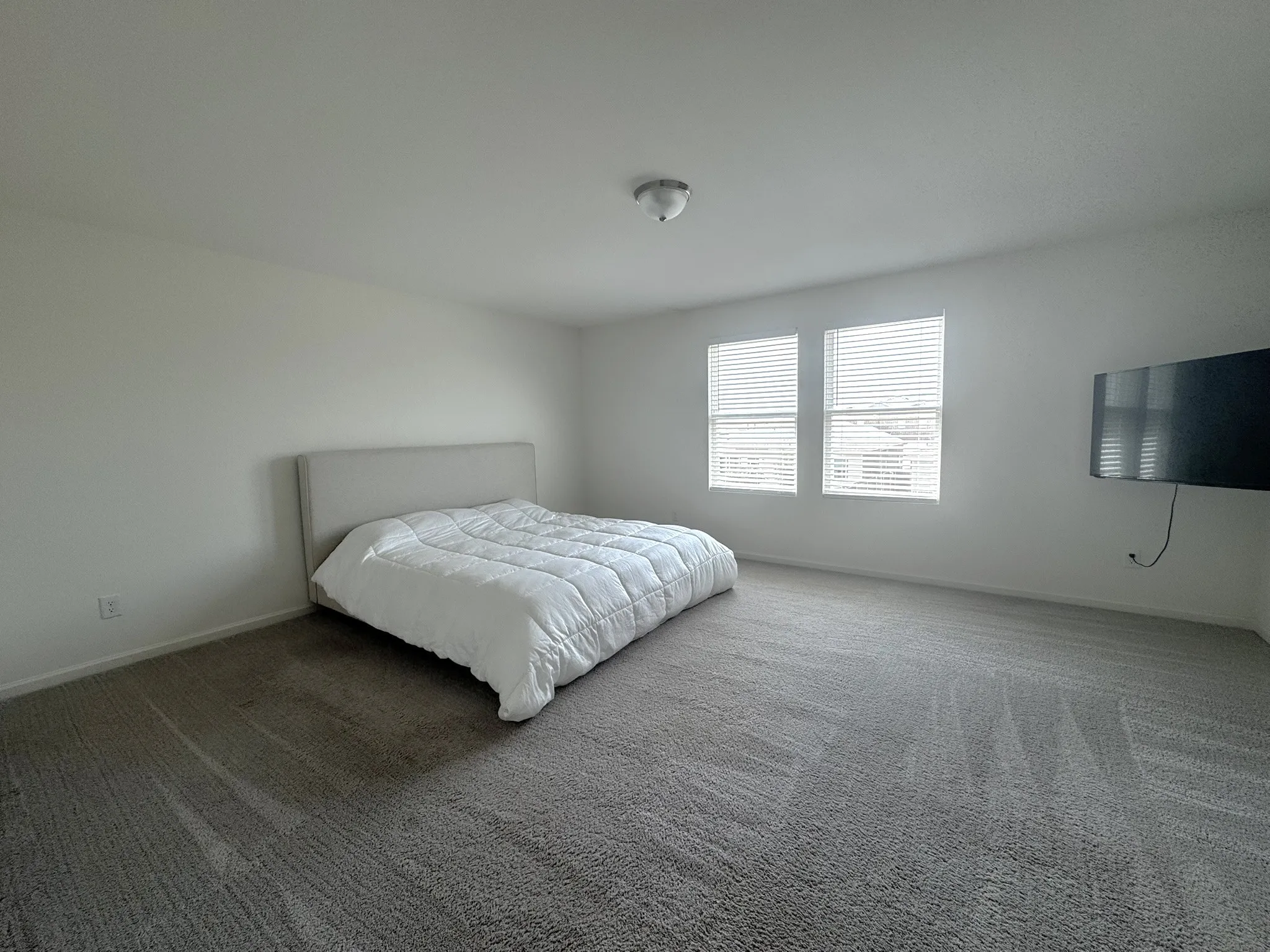 Spacious room featuring neutral carpeting, white walls, and a ceiling-mounted light fixture