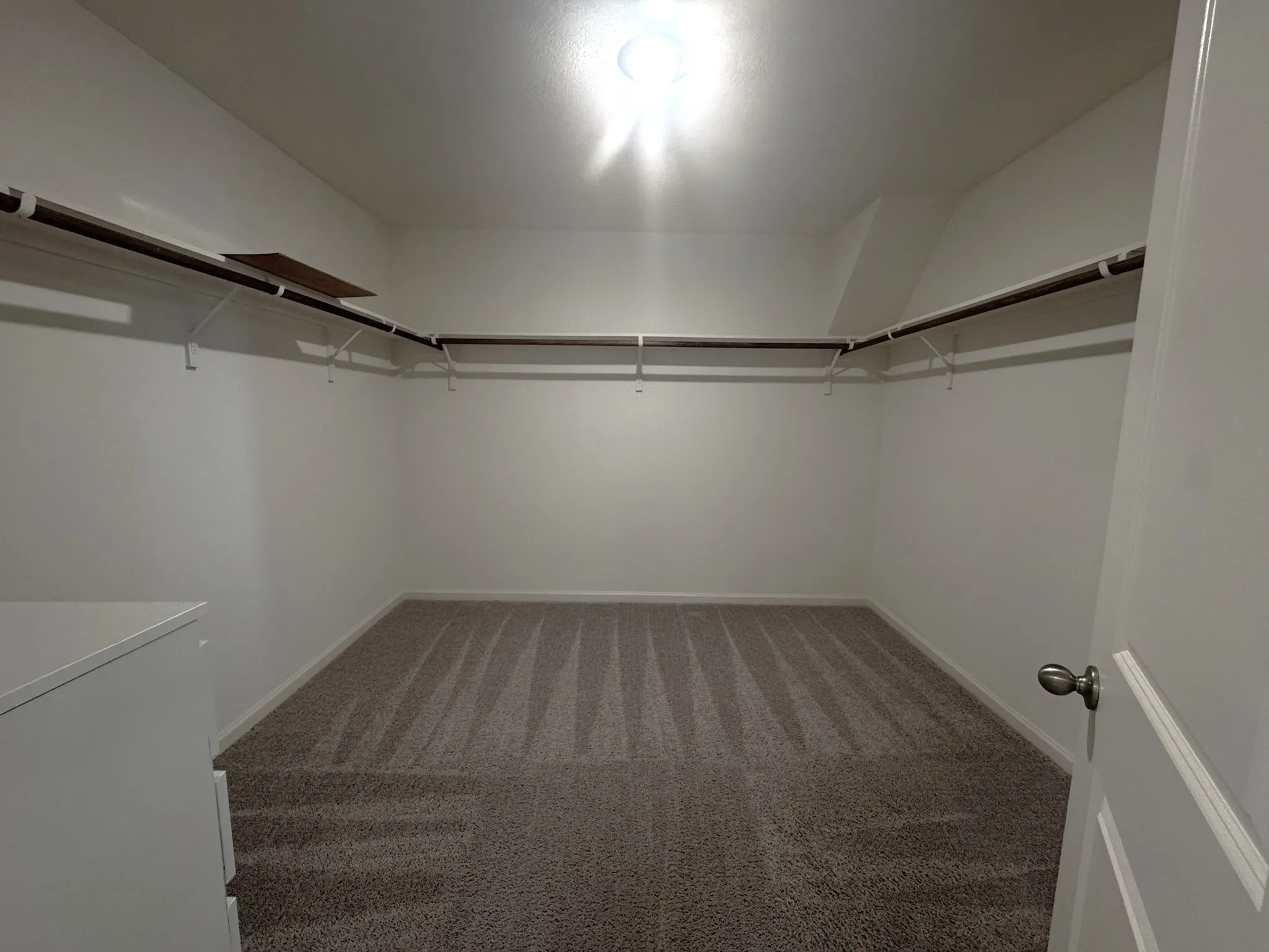 Spacious walk-in closet featuring light gray carpeting, white walls, built-in shelving, and a hanging rod system