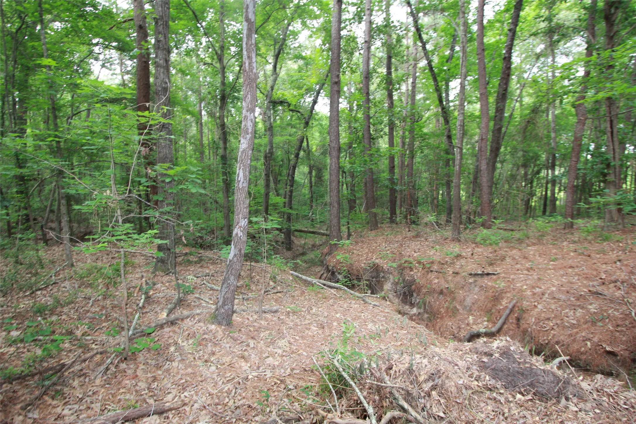 Unimproved Land For Sale in Smith County , Tract 53.1 Hwy 31, Tyler, Texas 75705, 0, 0, Garage spaces, 0 Sqft, built in 0, mls#21276955, Real Estate Agent in Tyler, Homes For Sale in Smith county, Homes For Sale in Tyler, Realtor in Tyler Texas, Real Estate Brokerage Independent Realty Texas, Luminita Cordes Realtor