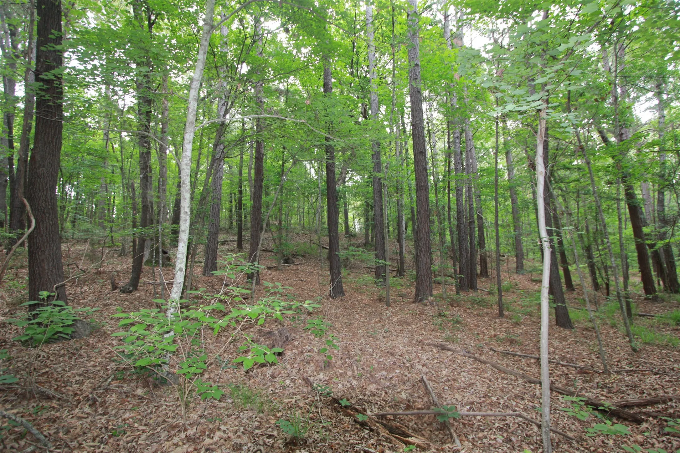Unimproved Land For Sale in Smith County , Tract 53.1 Hwy 31, Tyler, Texas 75705, 0, 0, Garage spaces, 0 Sqft, built in 0, mls#21276955, Real Estate Agent in Tyler, Homes For Sale in Smith county, Homes For Sale in Tyler, Realtor in Tyler Texas, Real Estate Brokerage Independent Realty Texas, Luminita Cordes Realtor