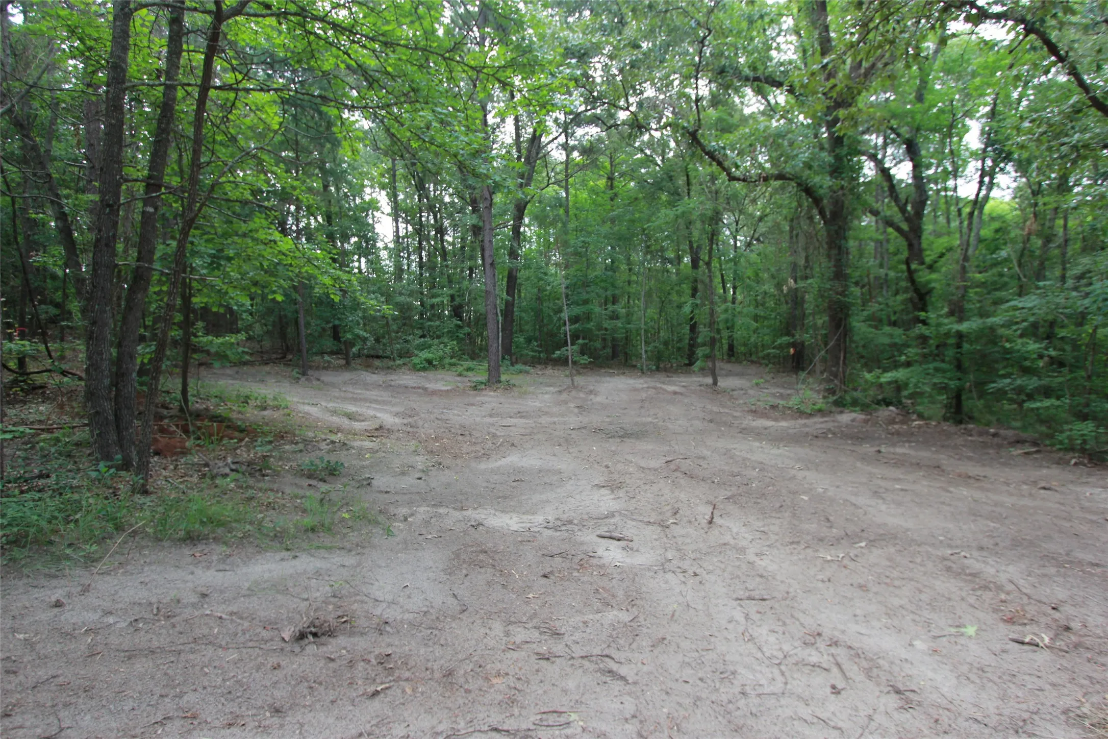 more of the cleared area