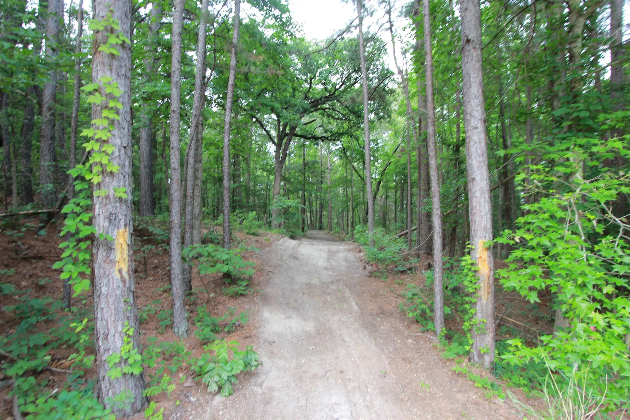 Another view of the entrance