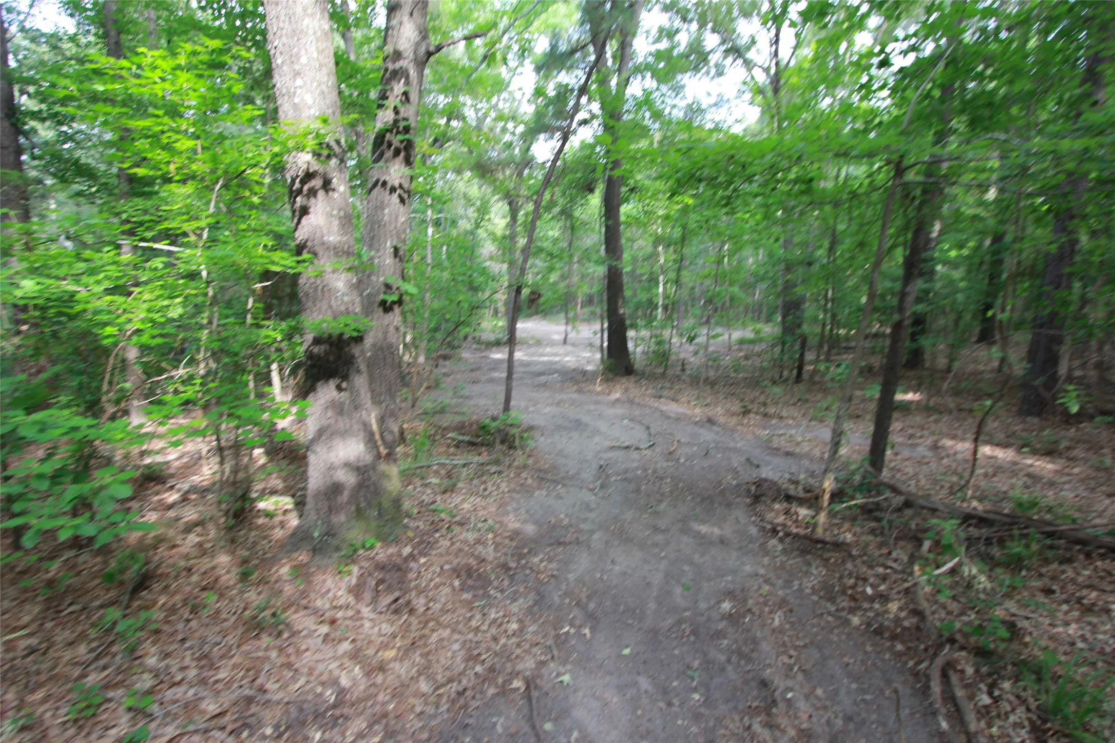 Unimproved Land For Sale in Smith County , Tract 53.1 Hwy 31, Tyler, Texas 75705, 0, 0, Garage spaces, 0 Sqft, built in 0, mls#21276955, Real Estate Agent in Tyler, Homes For Sale in Smith county, Homes For Sale in Tyler, Realtor in Tyler Texas, Real Estate Brokerage Independent Realty Texas, Luminita Cordes Realtor