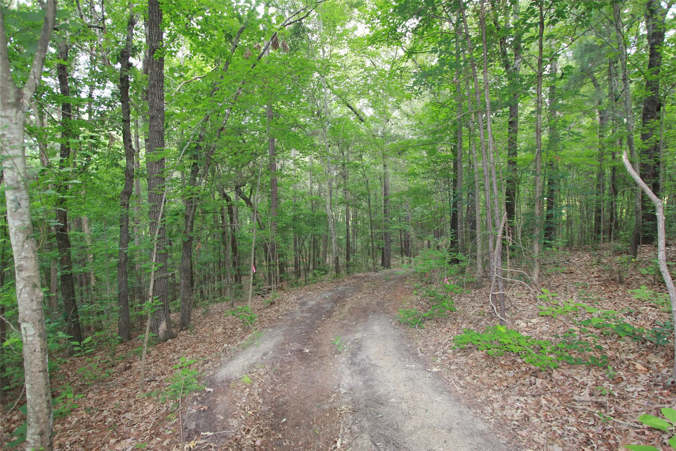 Unimproved Land For Sale in Smith County , Tract 53.1 Hwy 31, Tyler, Texas 75705, 0, 0, Garage spaces, 0 Sqft, built in 0, mls#21276955, Real Estate Agent in Tyler, Homes For Sale in Smith county, Homes For Sale in Tyler, Realtor in Tyler Texas, Real Estate Brokerage Independent Realty Texas, Luminita Cordes Realtor