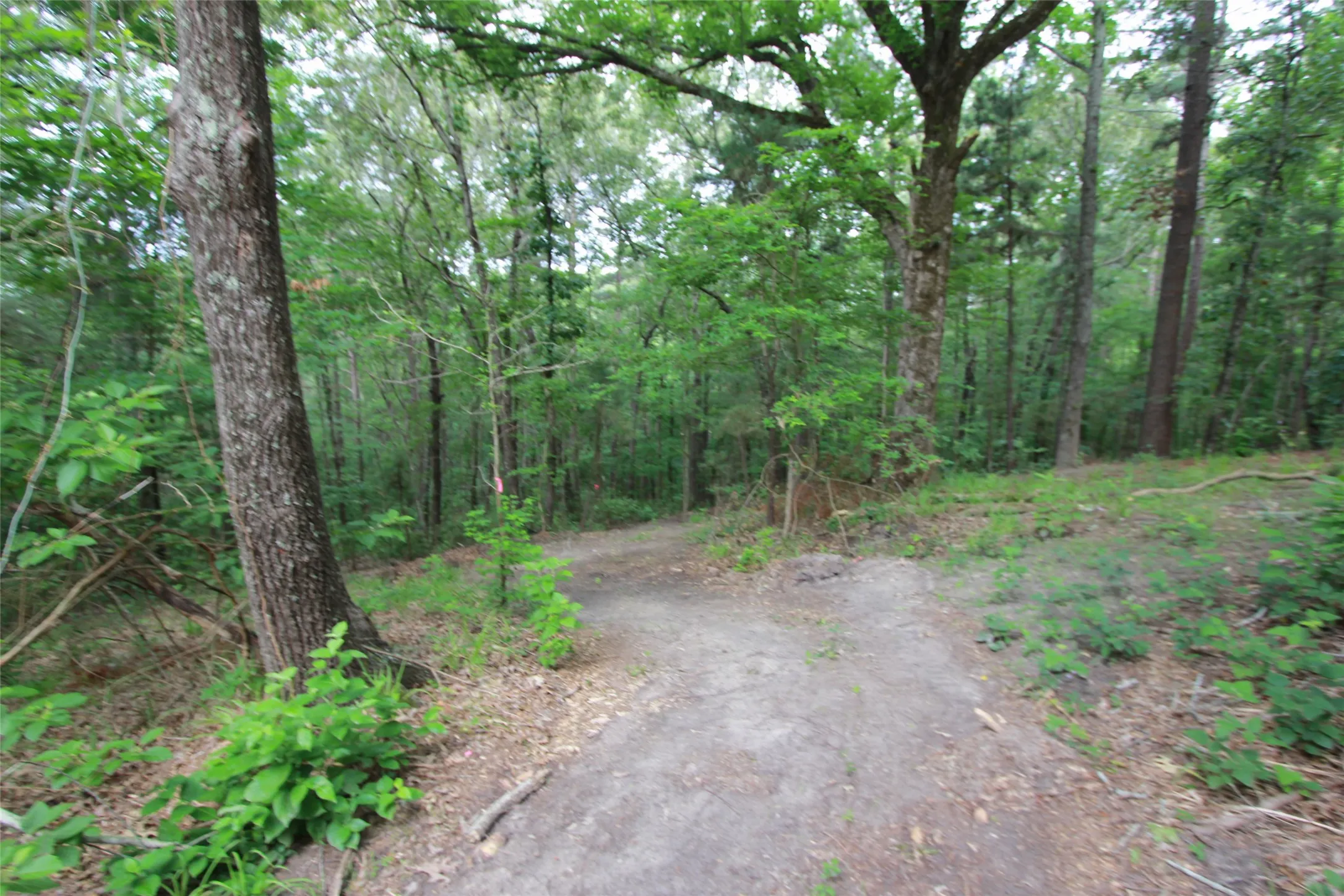 More of the cleared area