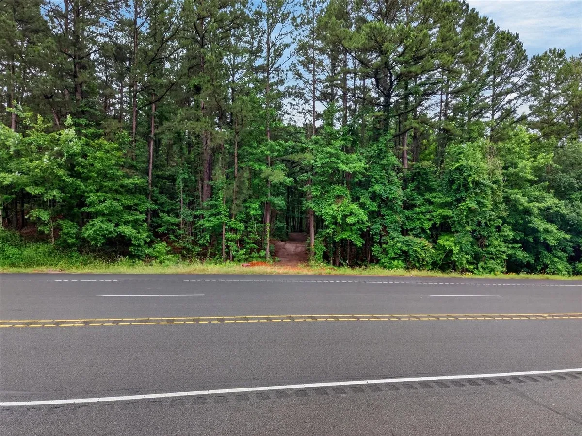 view from the road