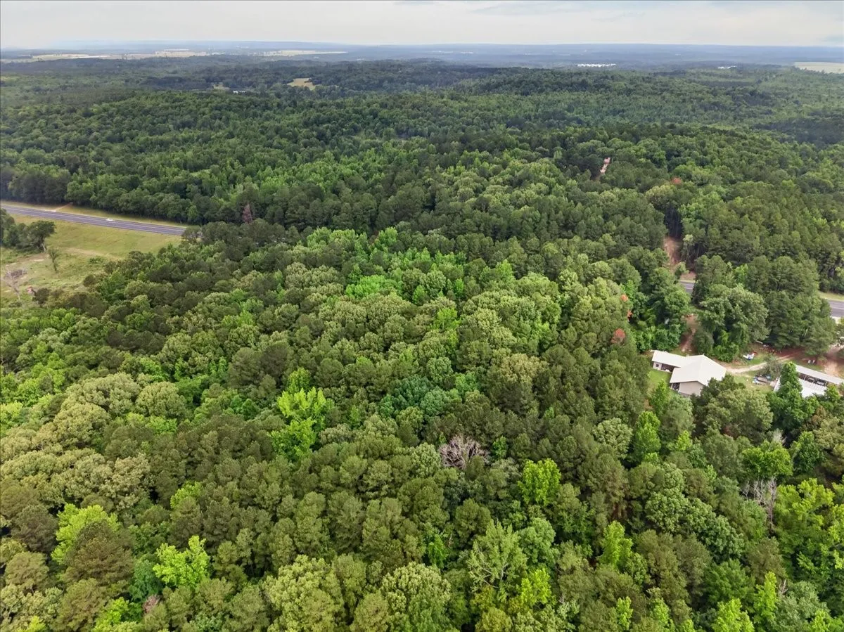 Aerial view. heavily treed